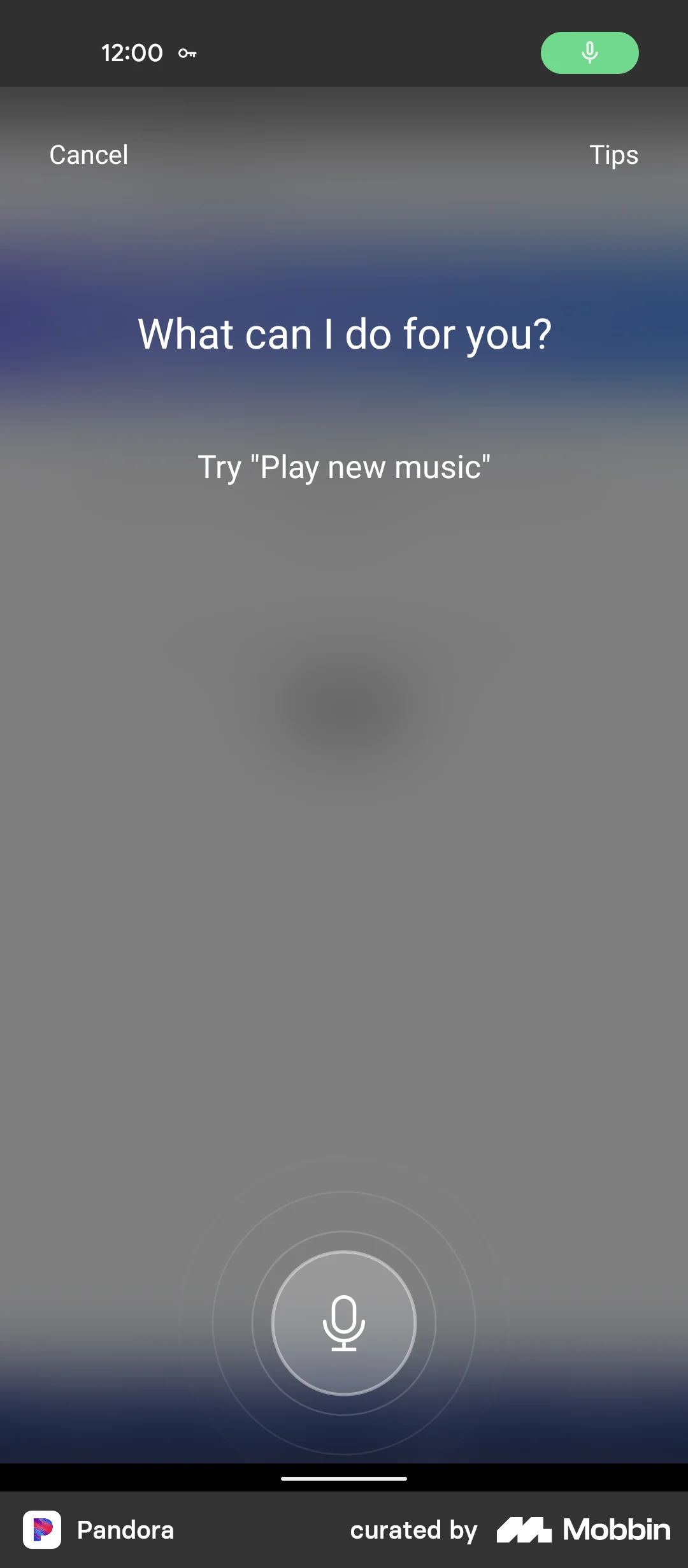 Pandora Searching for music with voice screen