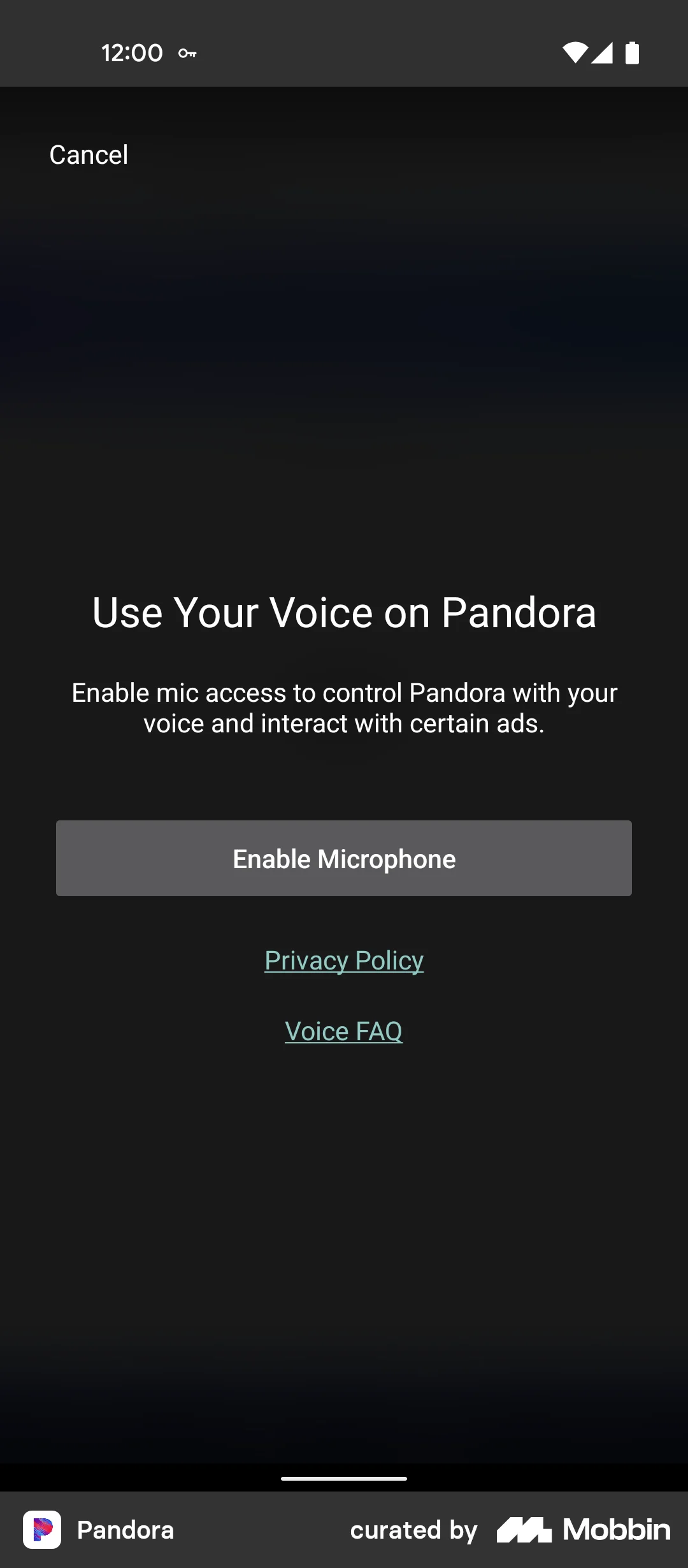 Pandora screen