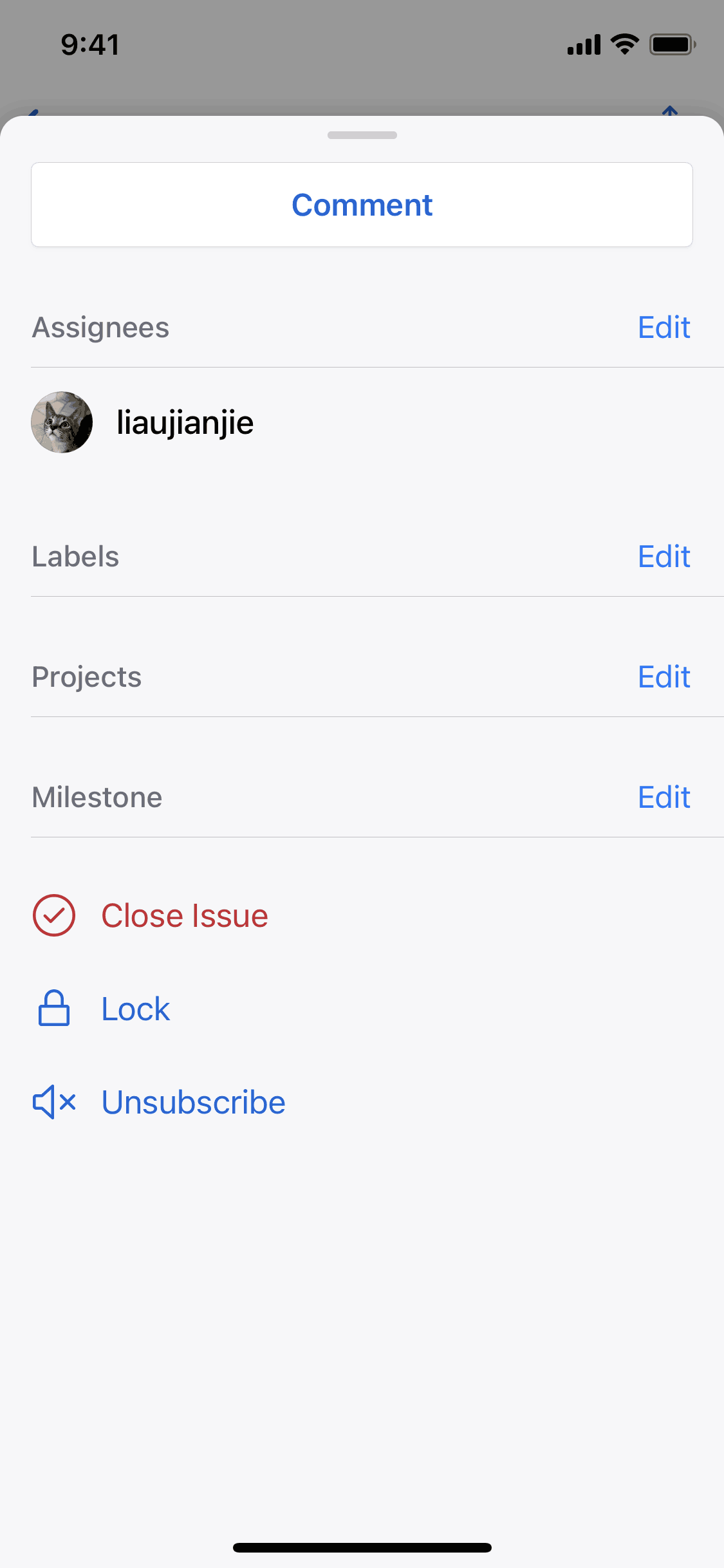 GitHub iOS Comment View | Mobbin