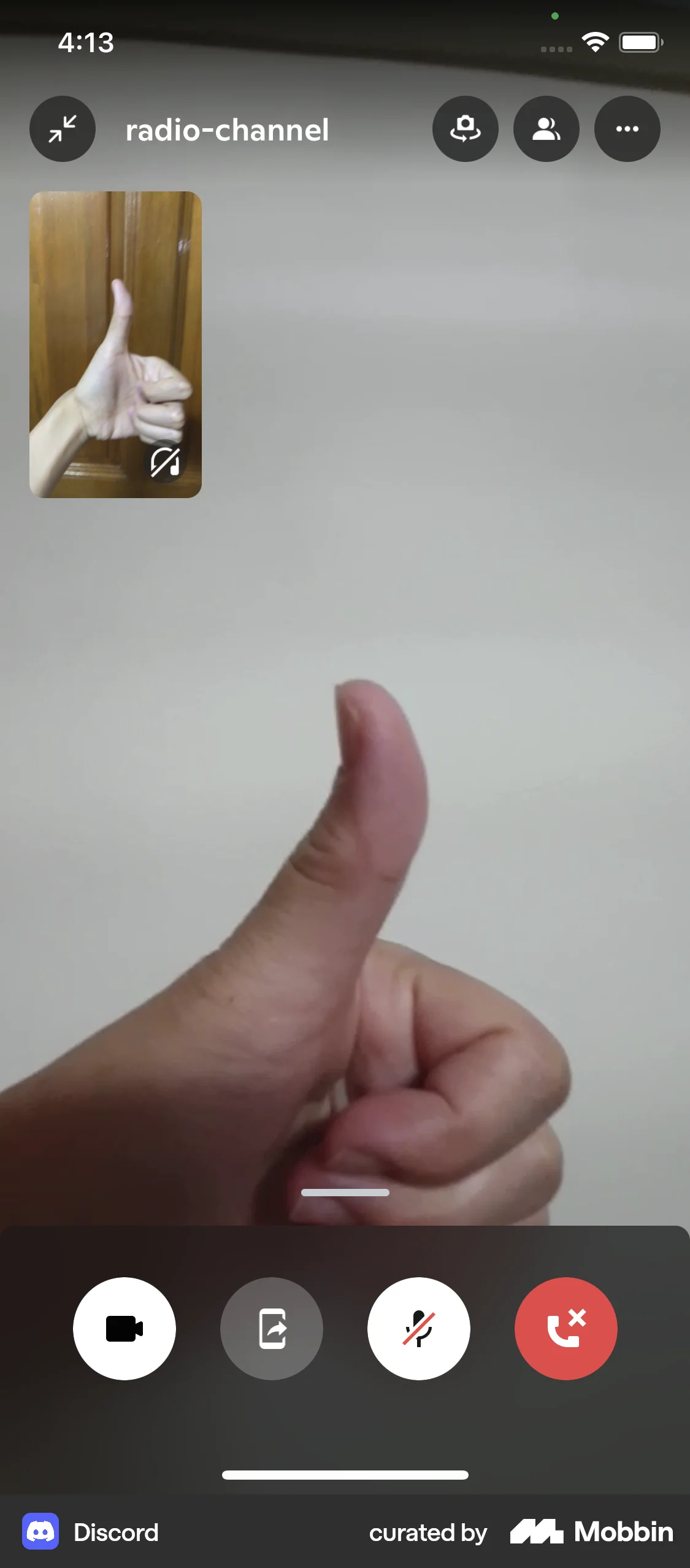 Discord iOS Call screen