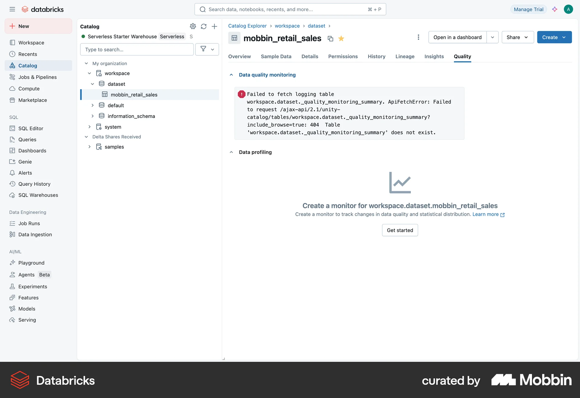 Databricks Web Error screen