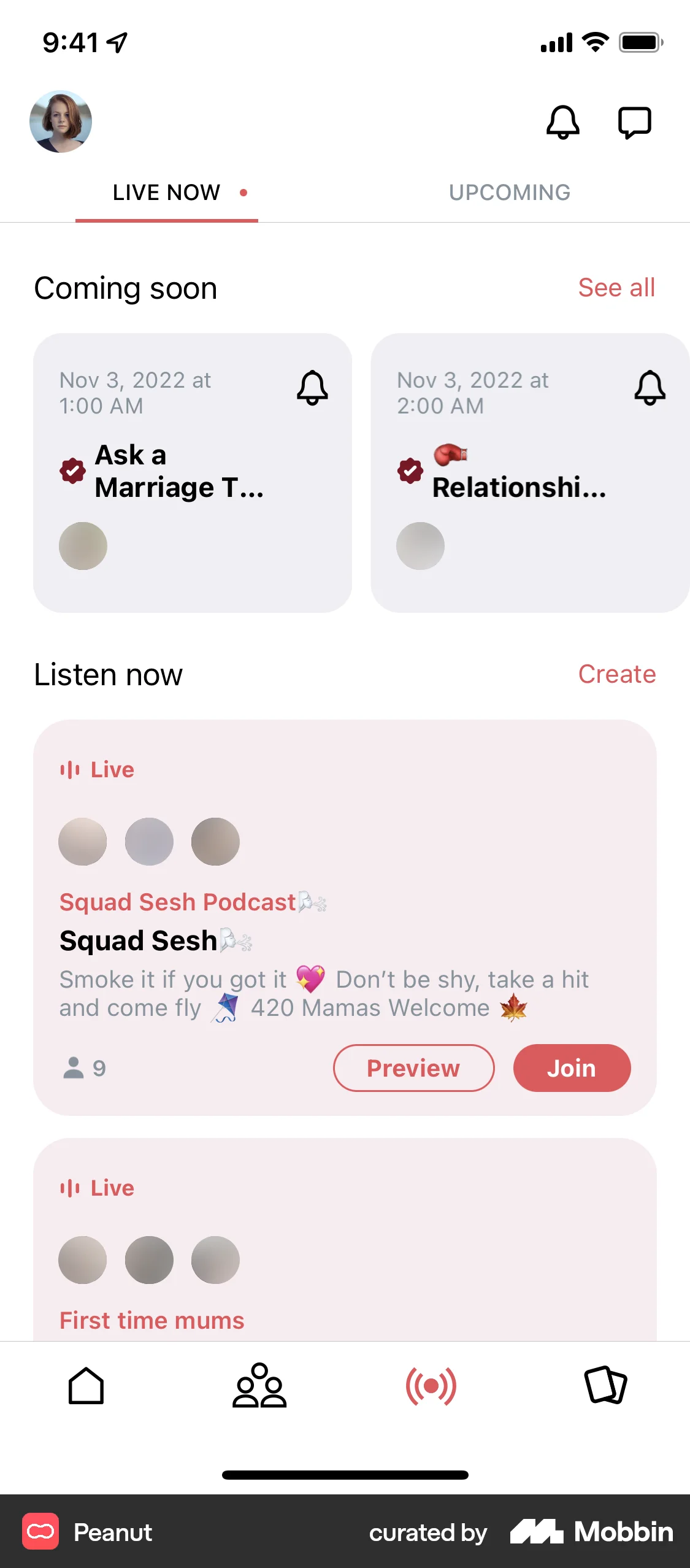 Peanut iOS Song & Podcast Detail screen