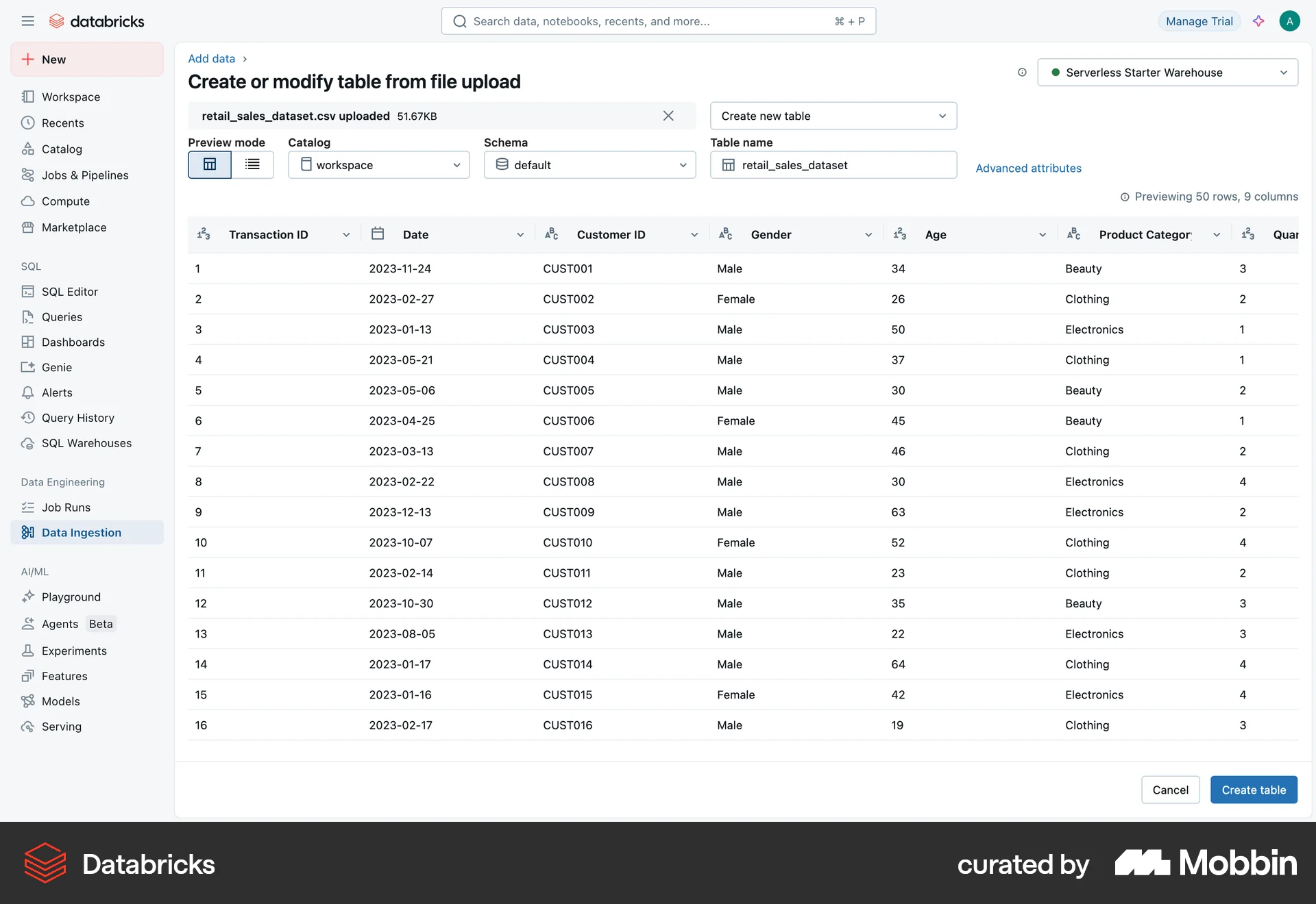 Databricks Web Developer Tools App screen