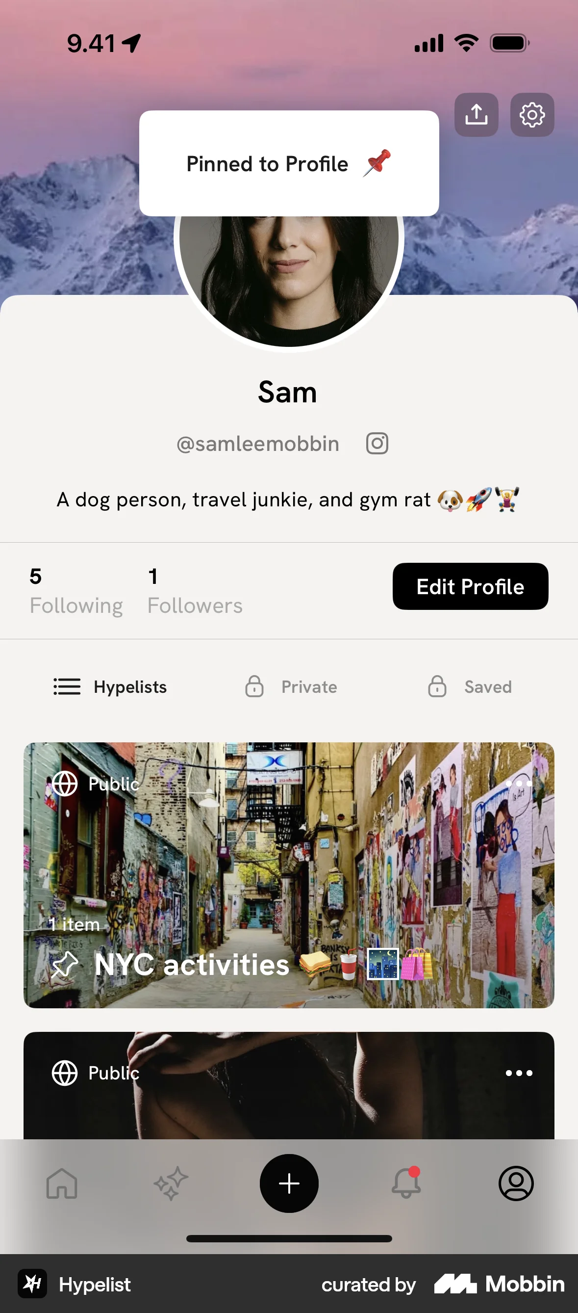 Hypelist iOS Favorite & Pin screen