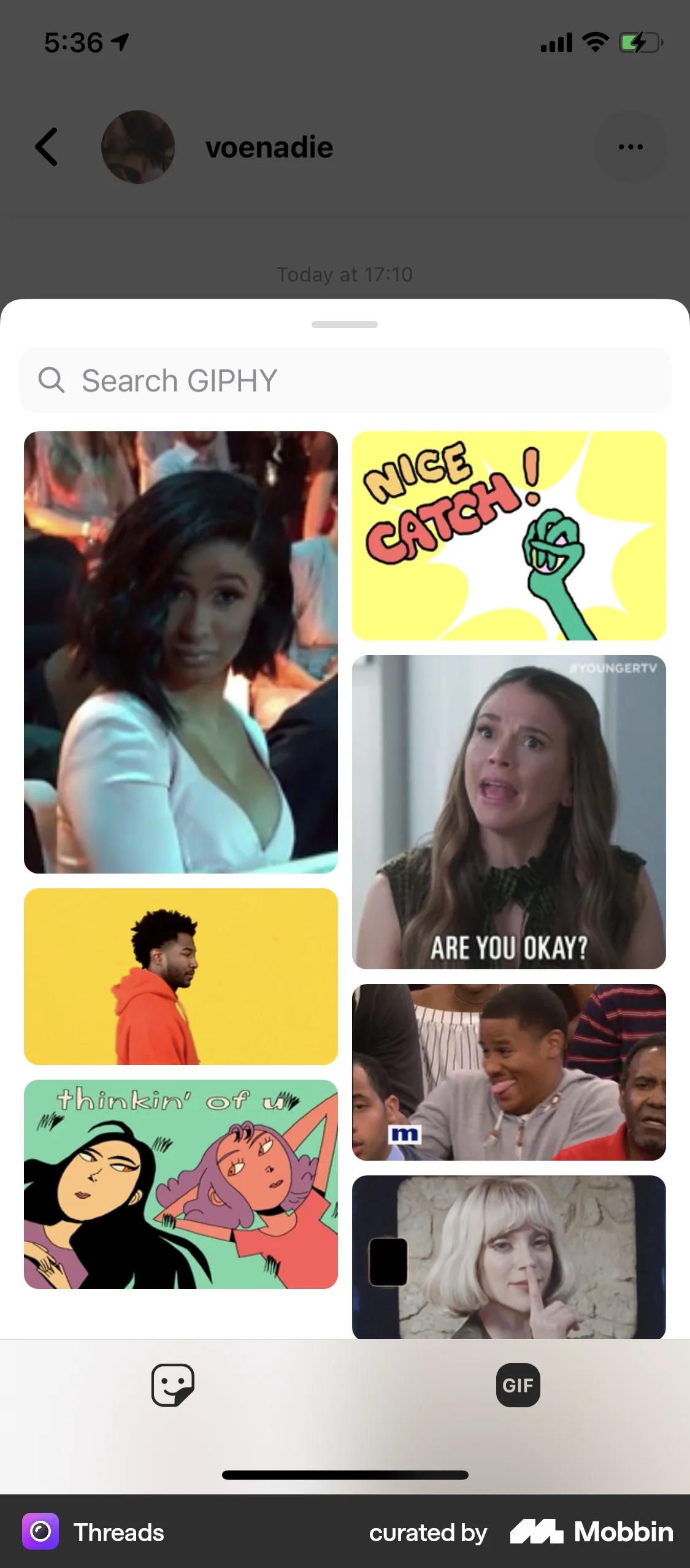 Threads iOS Filters & Stickers screen