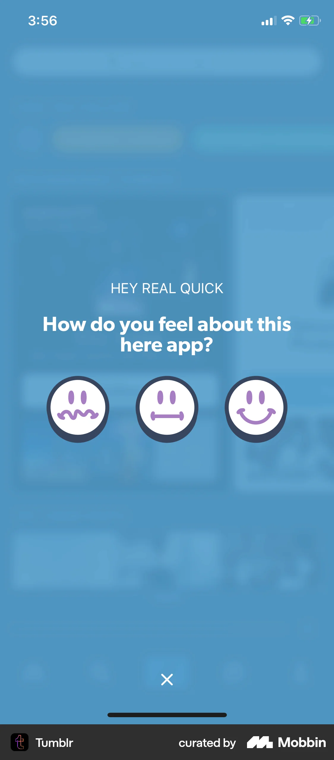 Tumblr iOS Help & Support screen