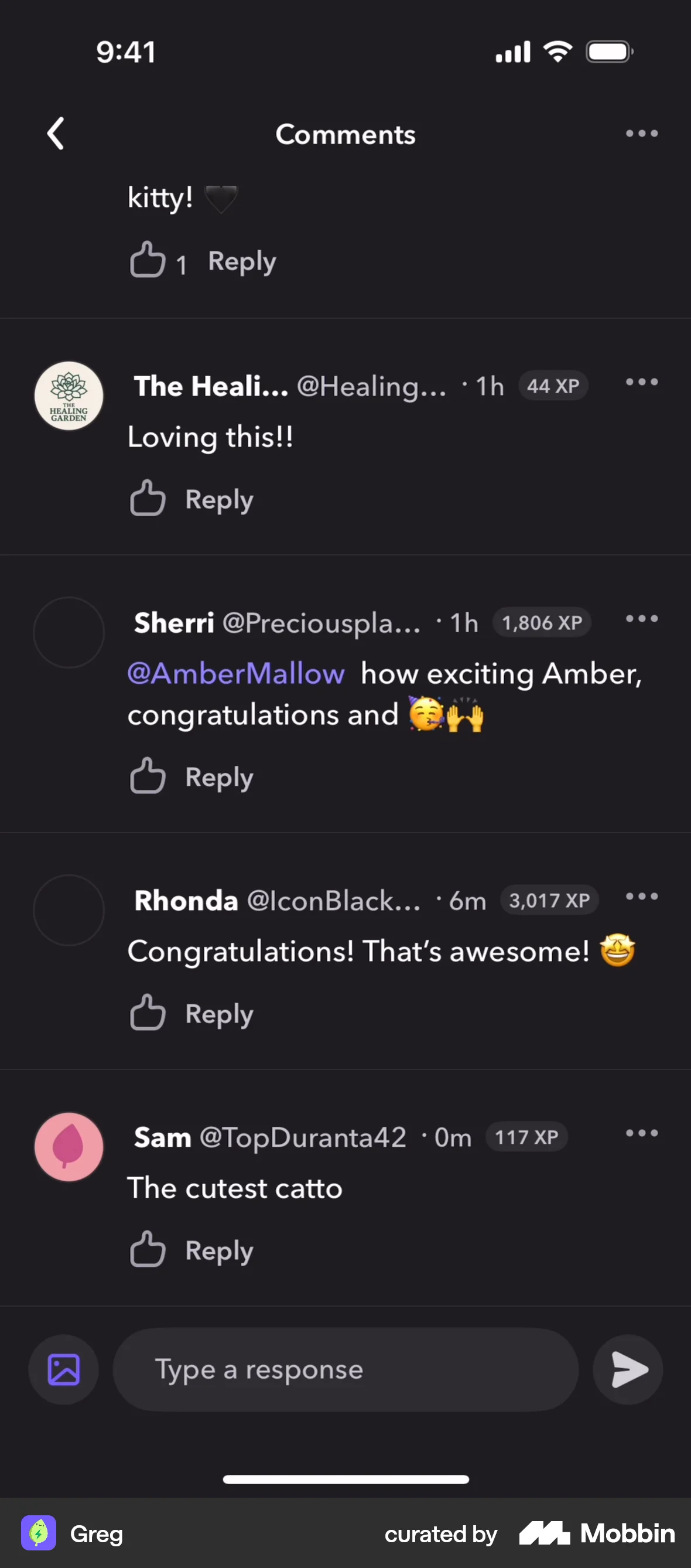 Greg iOS Comments screen