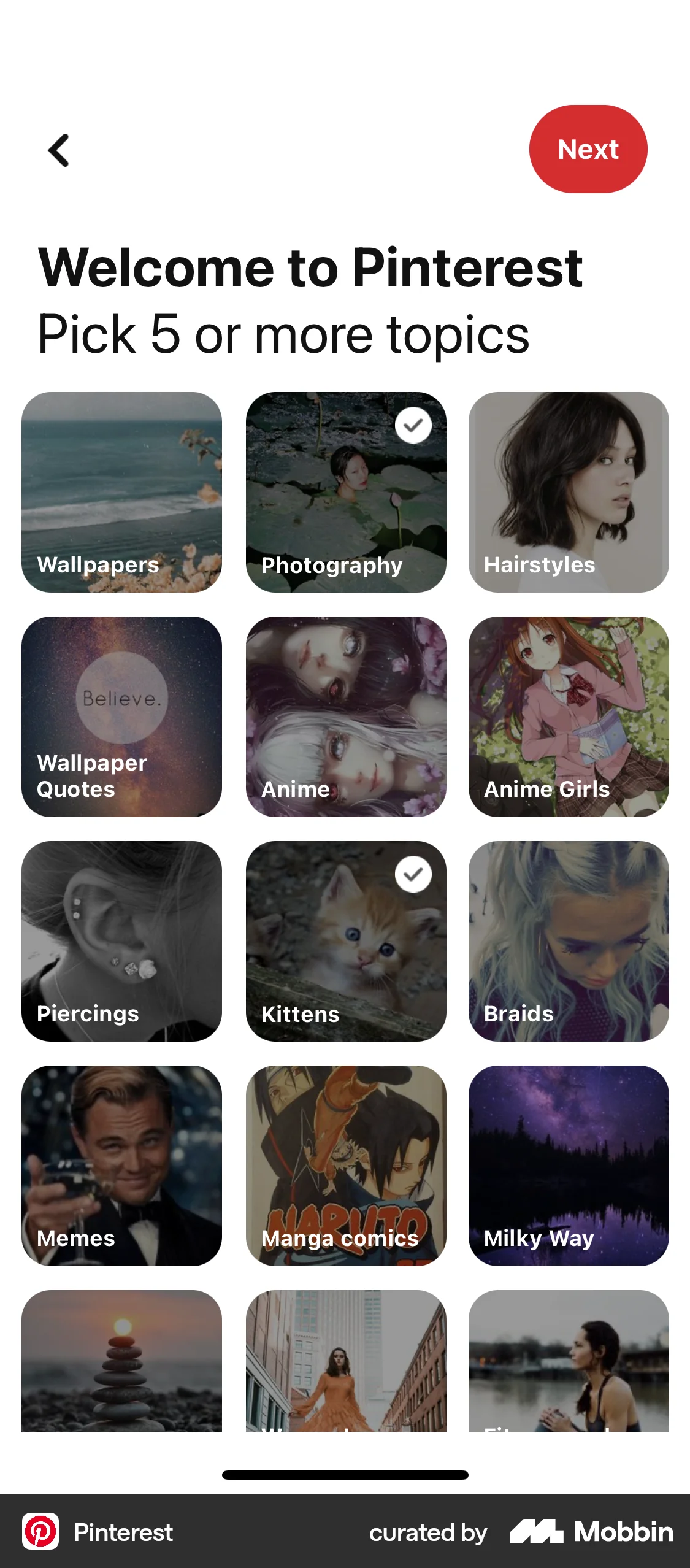 Pinterest iOS Suggestions & Similar Items screen