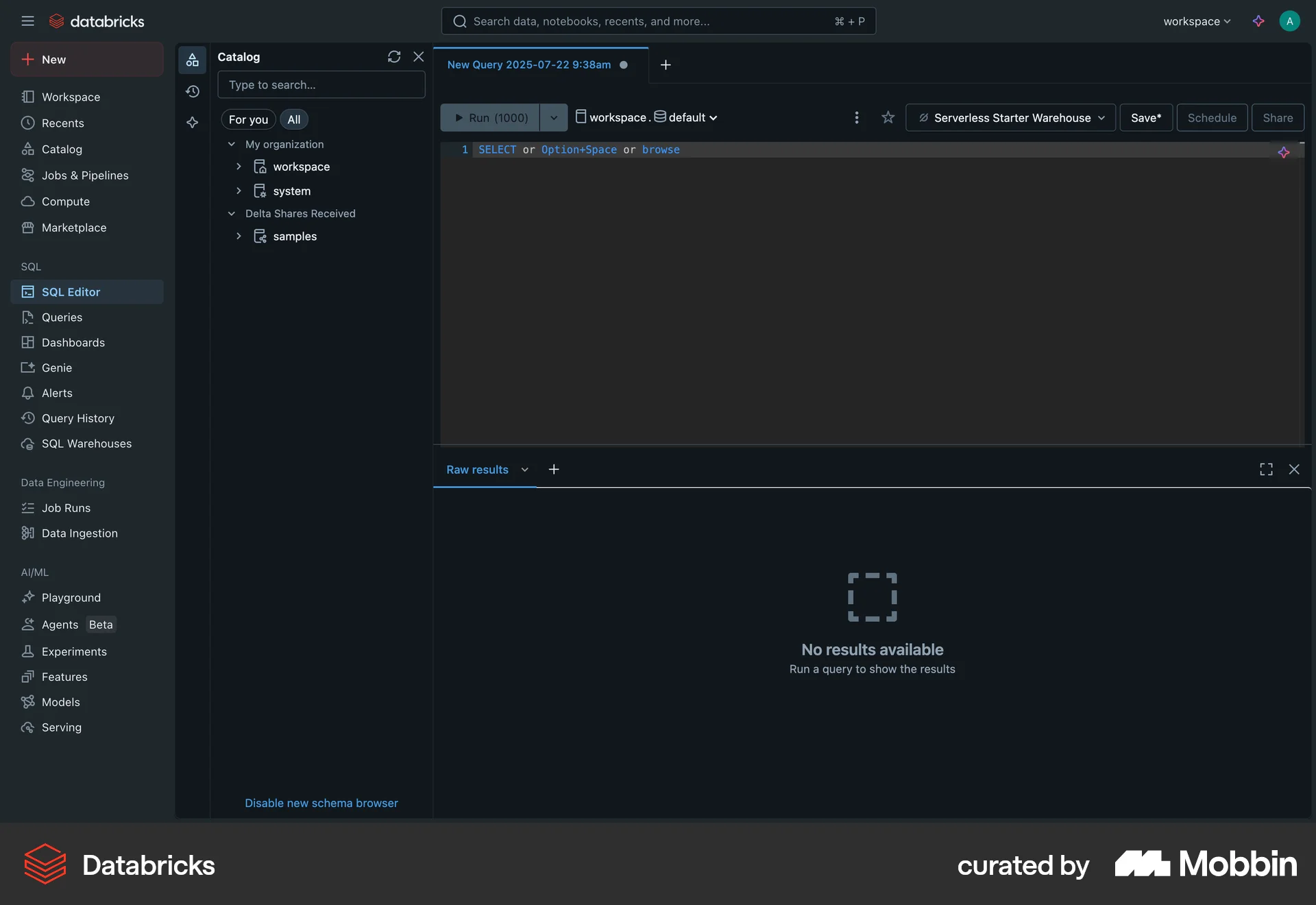 Databricks Web Dark Mode screen