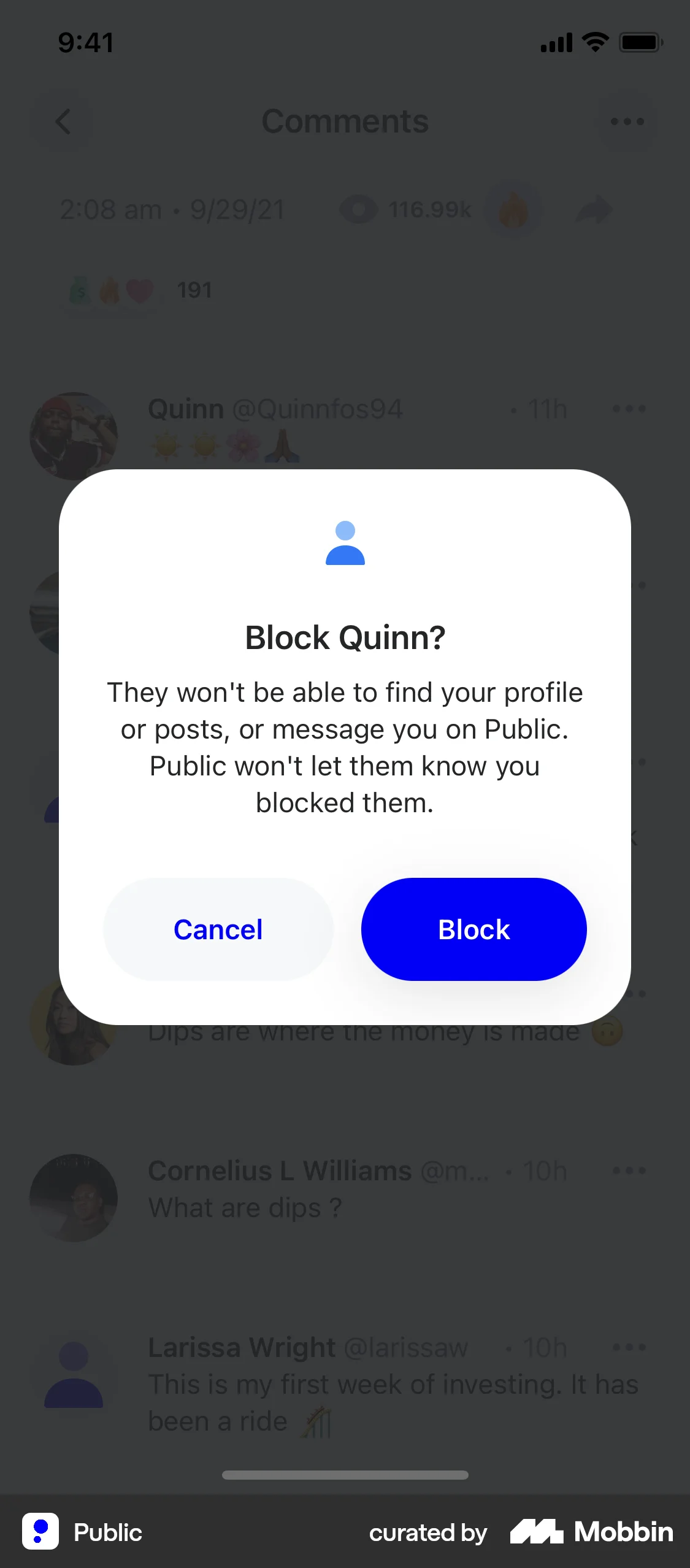 Public iOS Ban & Block screen