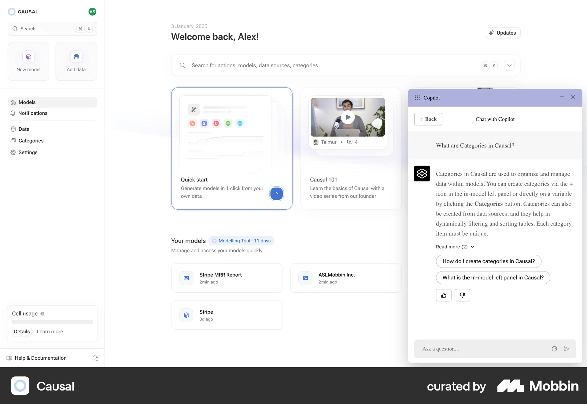 Causal Web Chat Bot screen