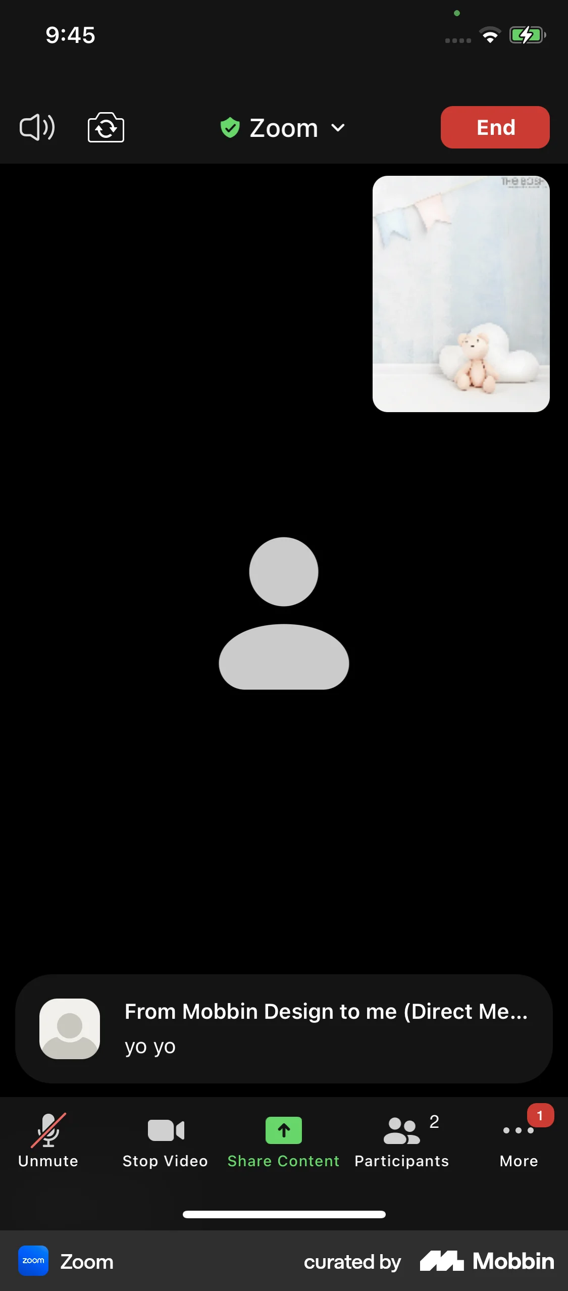 Zoom iOS Call screen
