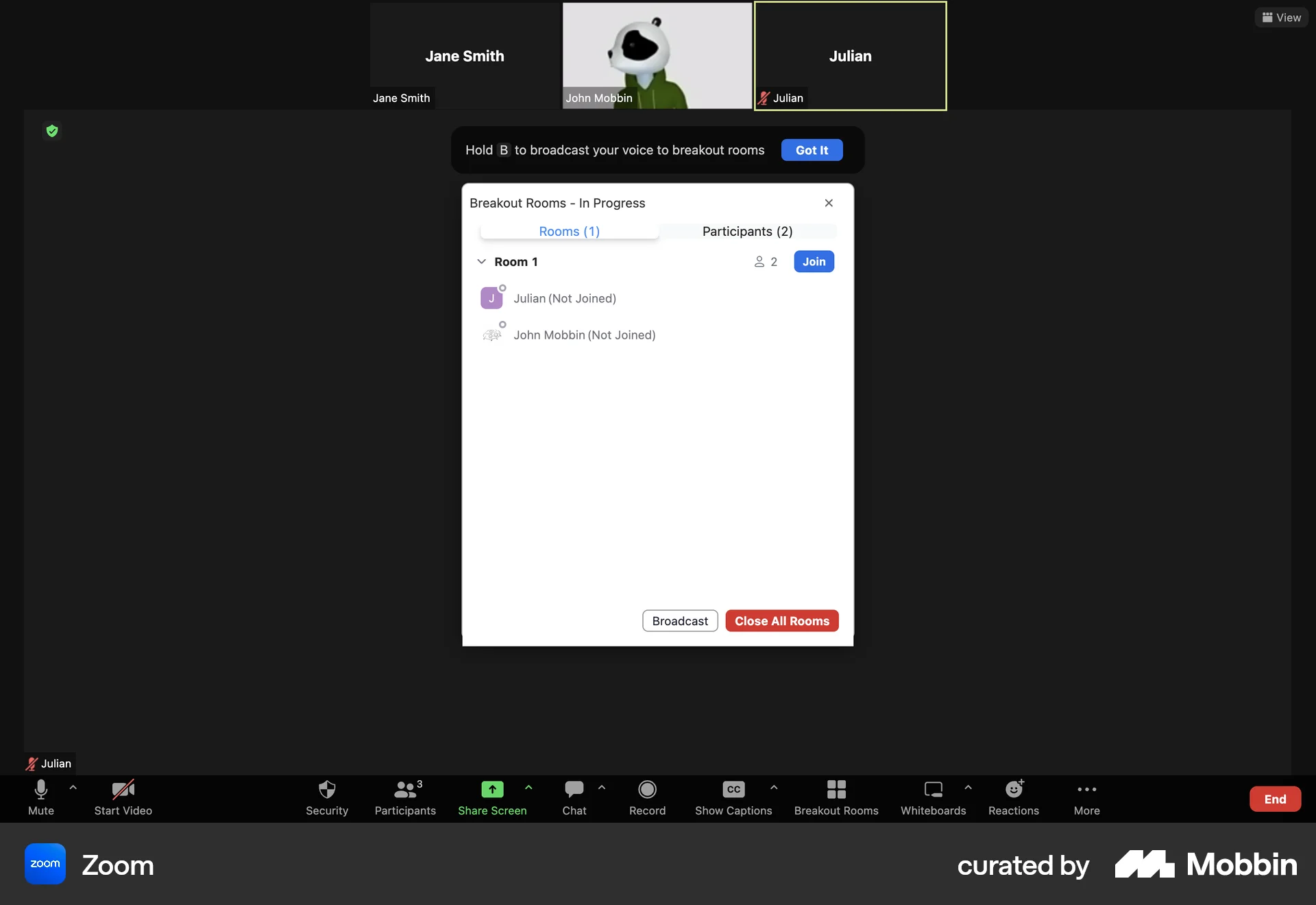 Zoom Web Call screen