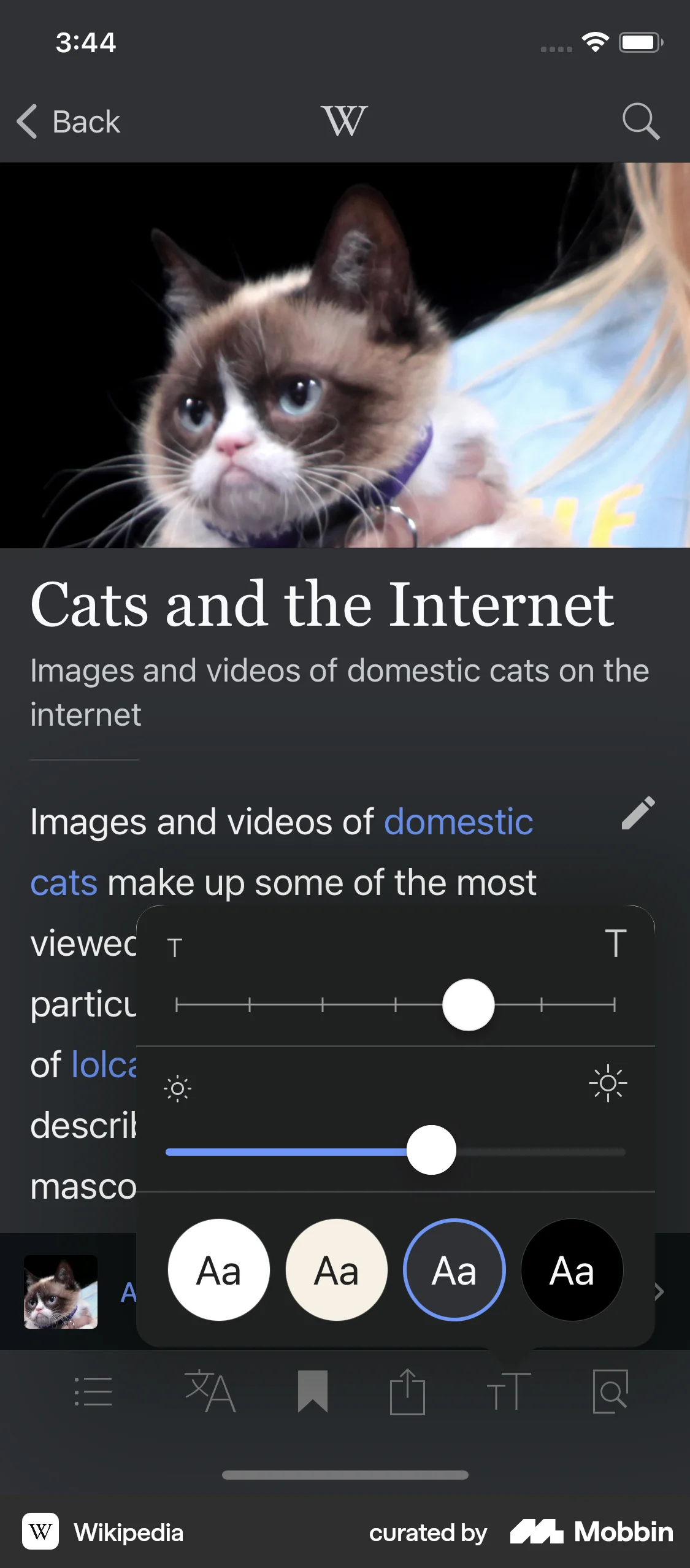 Wikipedia iOS Dark Mode screen