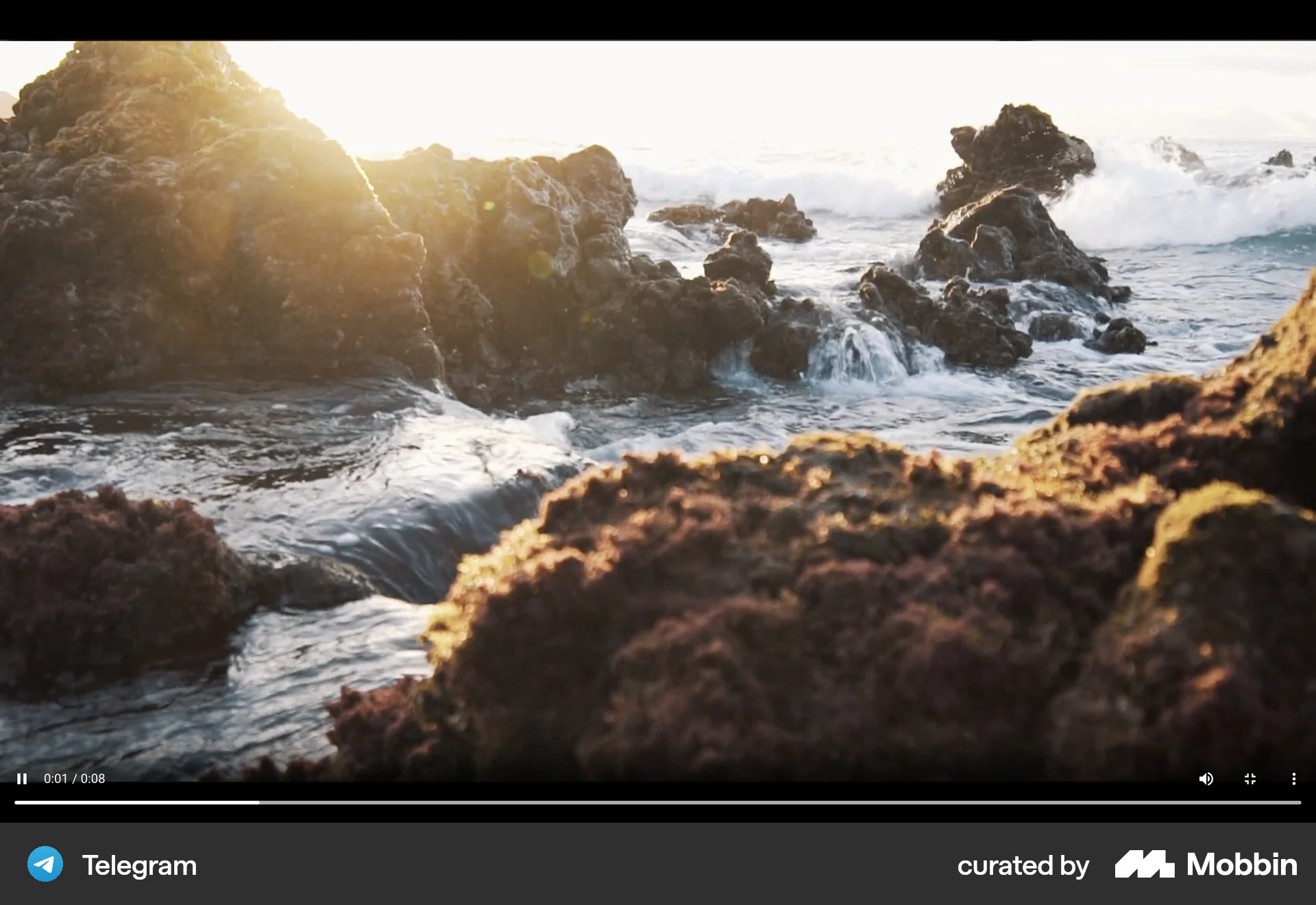 Telegram Web Communication App screen