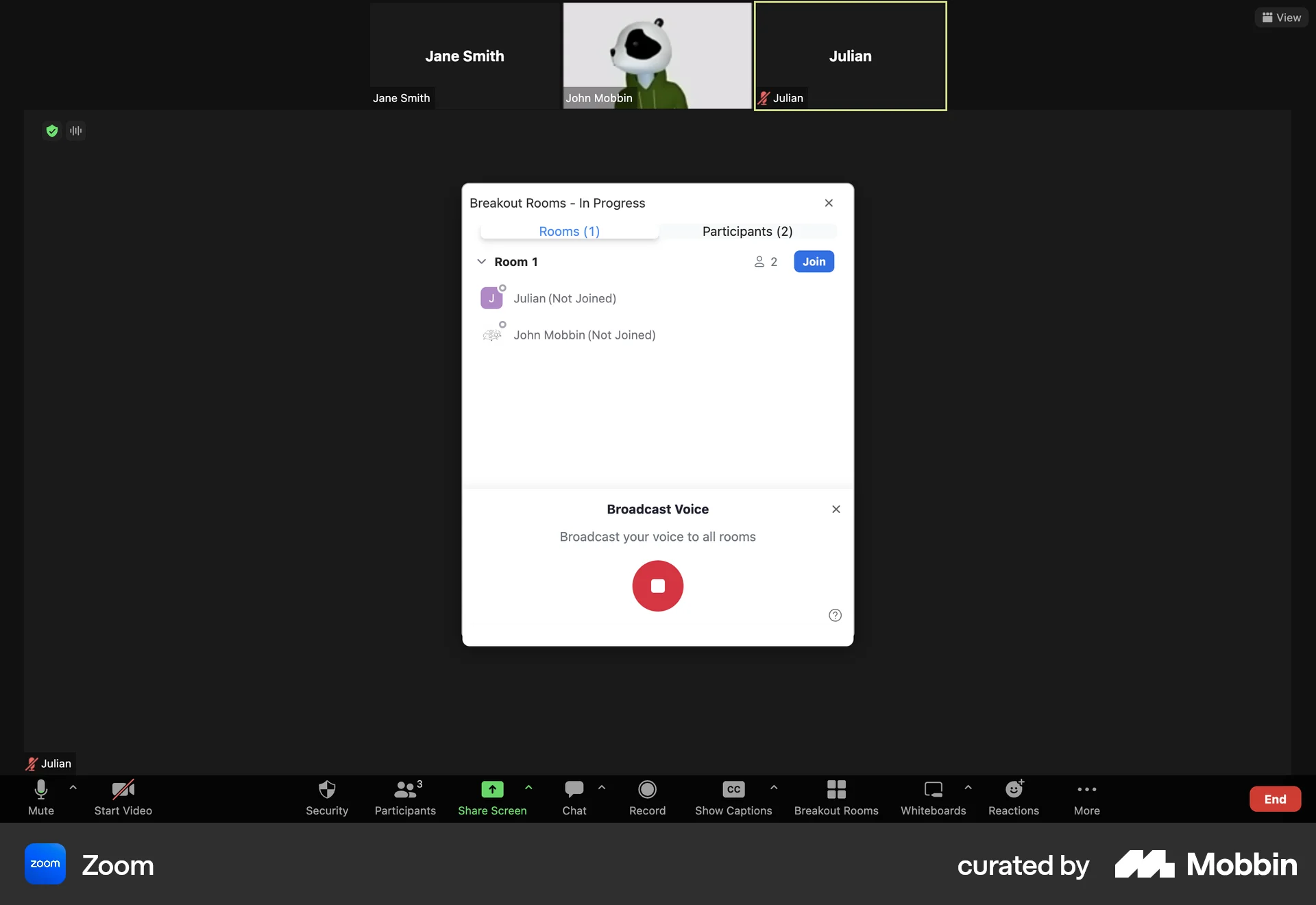 Zoom Web Audio & Video Recorder screen