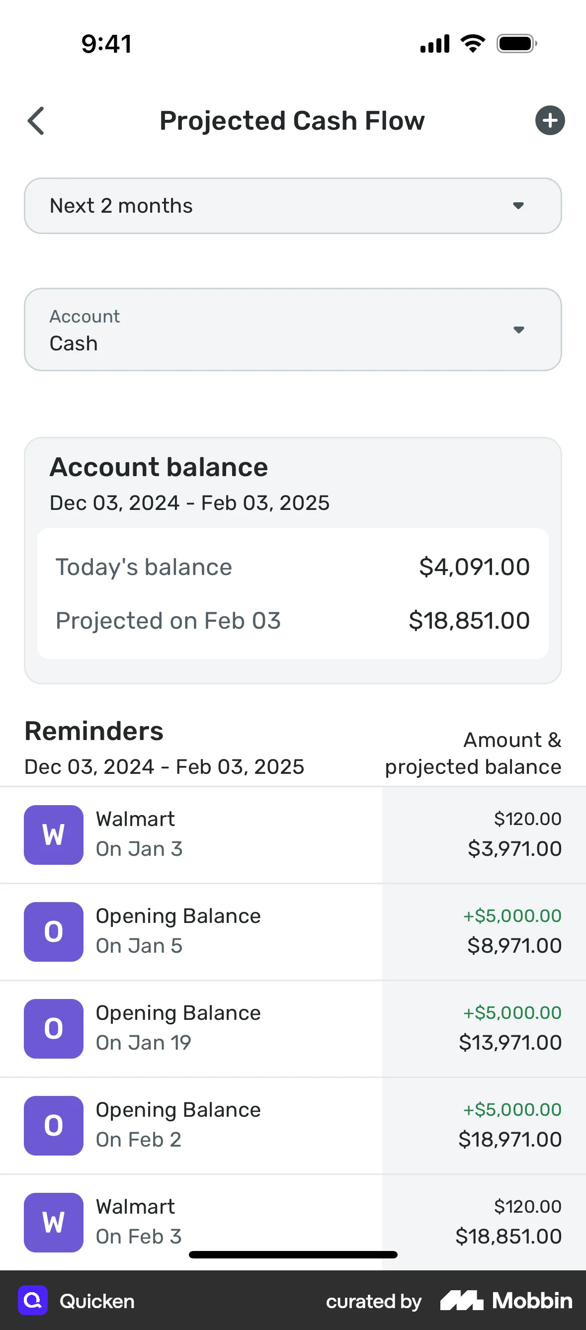 Quicken iOS Wallet & Balance screen
