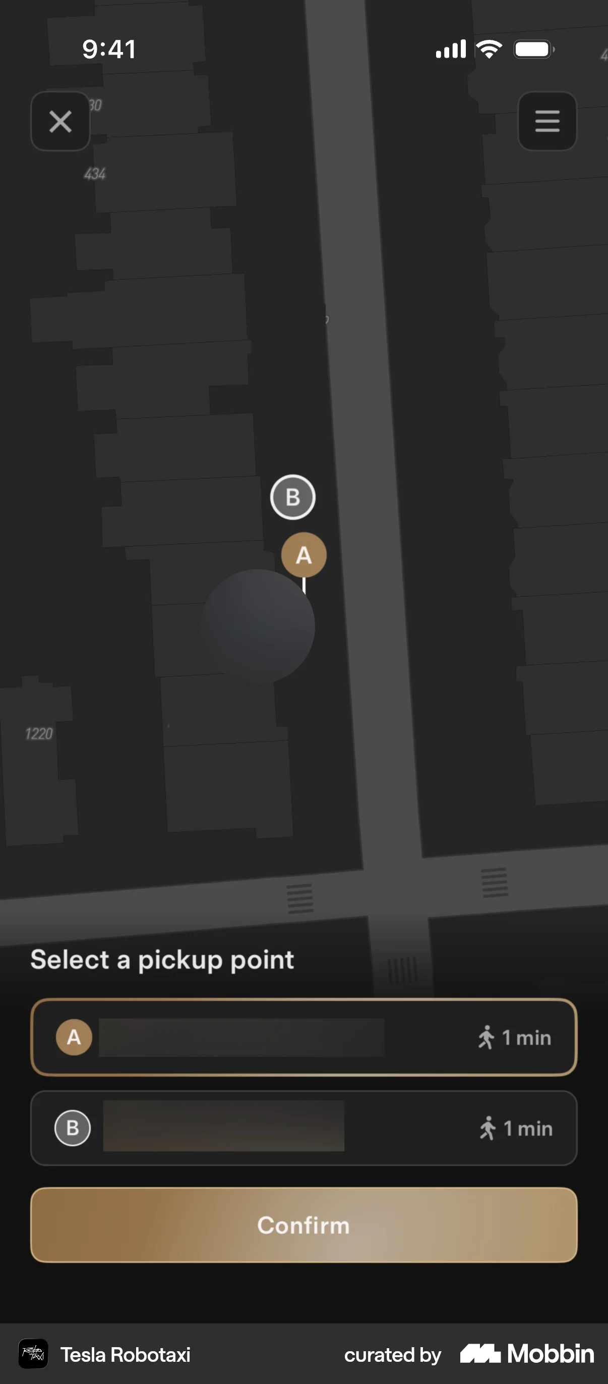 Tesla Robotaxi iOS Dark Mode screen
