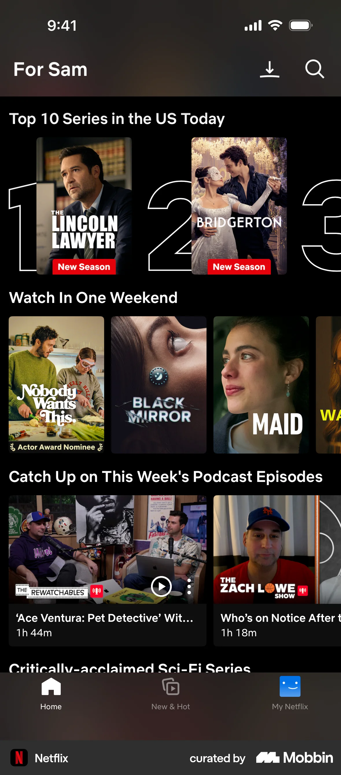 Netflix iOS Mobile App Design screen