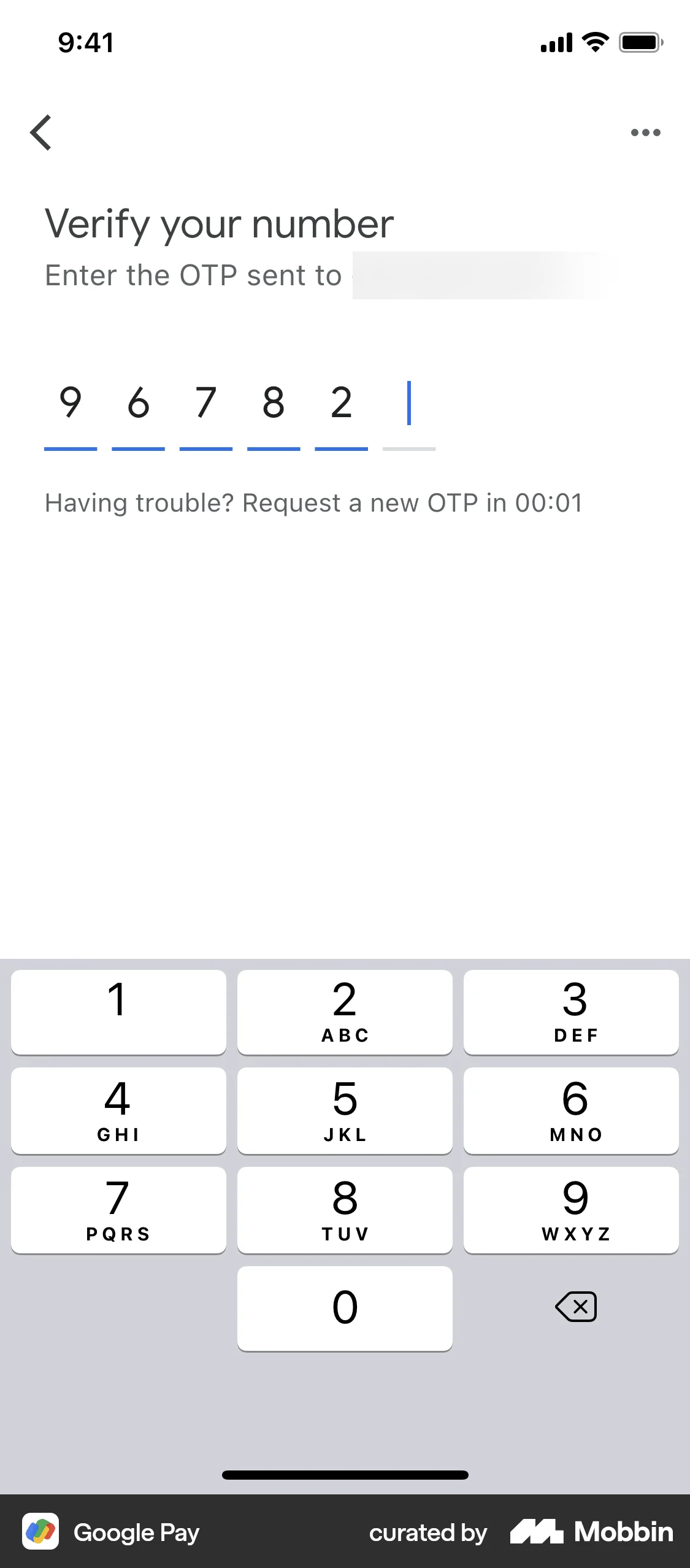 Google Pay iOS Verification screen