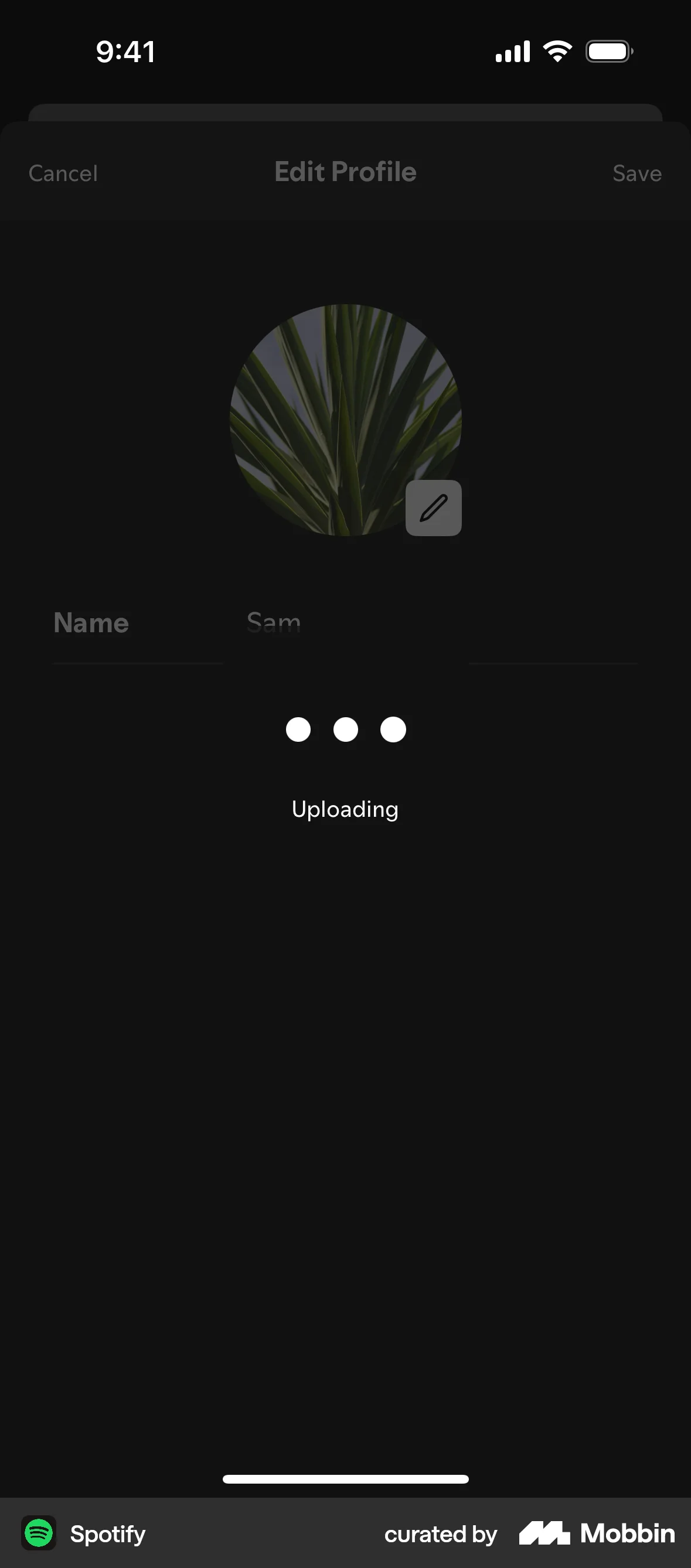 Spotify iOS Upload & Download screen