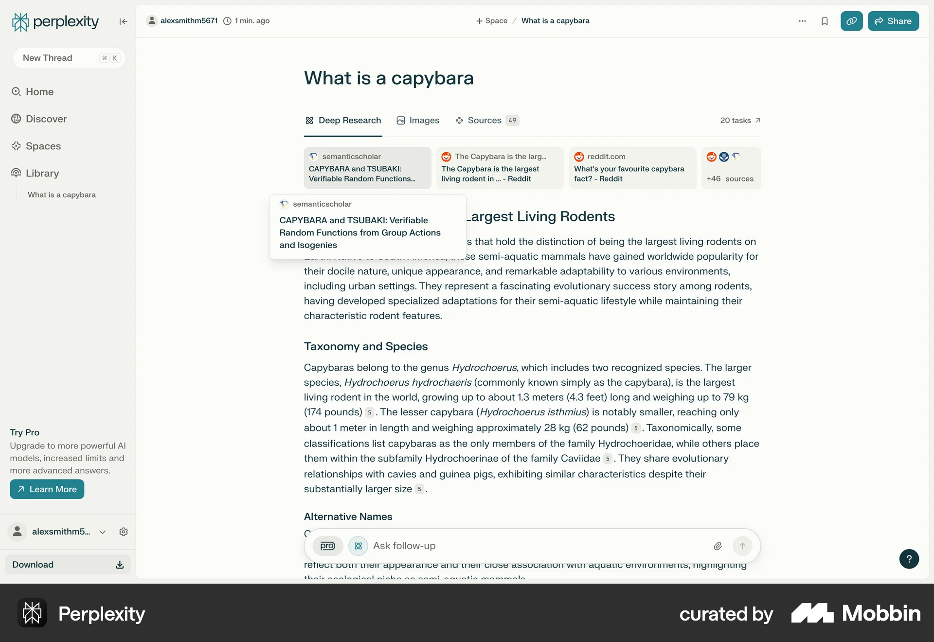 Perplexity Web screen containing Tooltip UI element