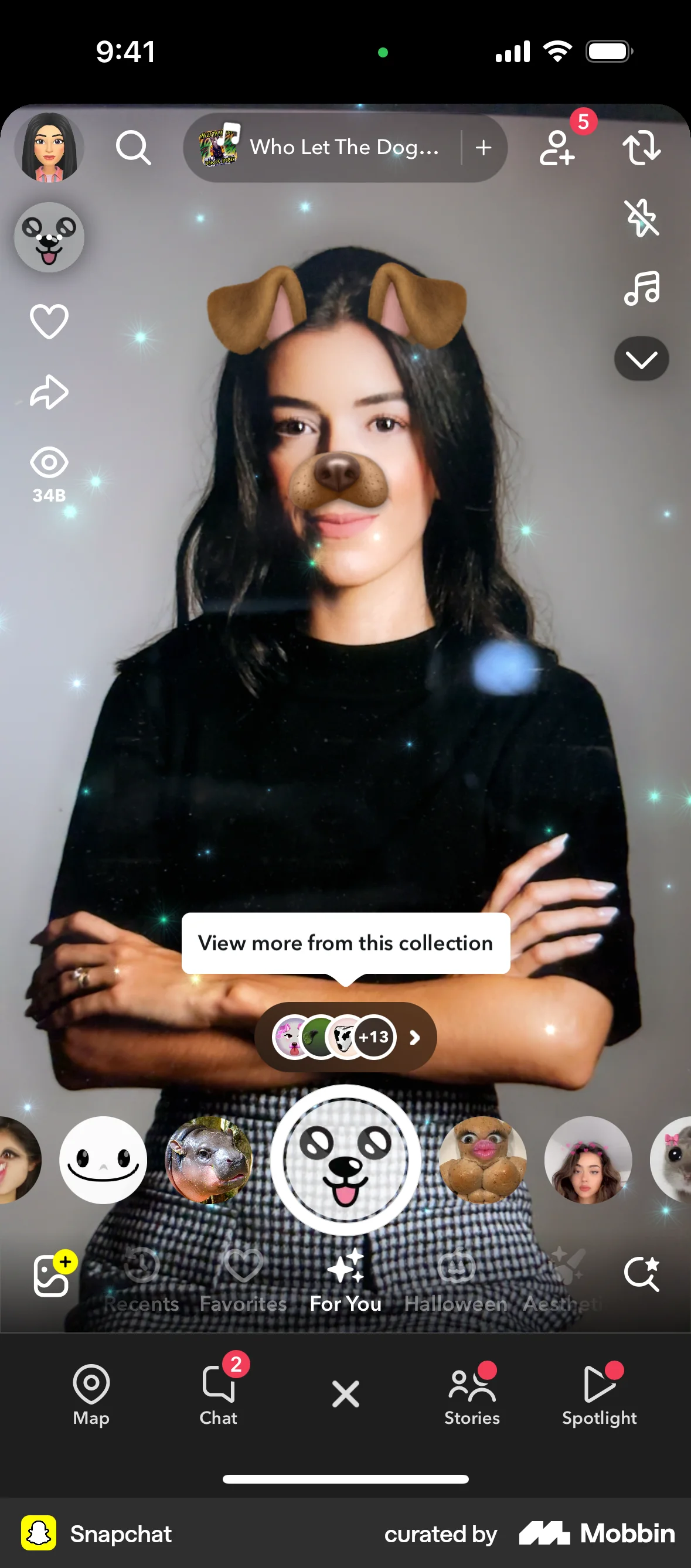 Snapchat iOS Filters & Stickers screen