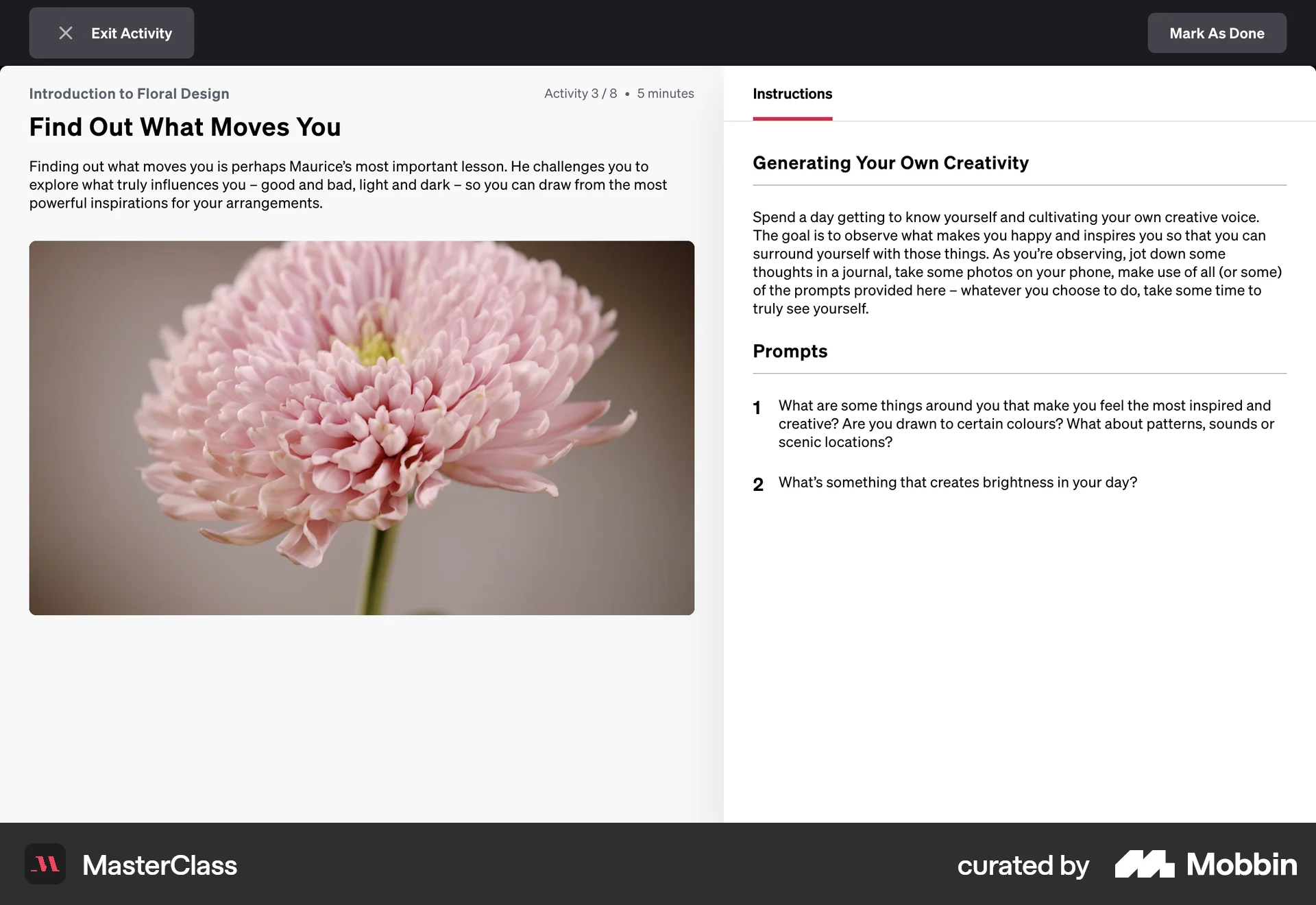 MasterClass Web Class & Lesson Detail screen