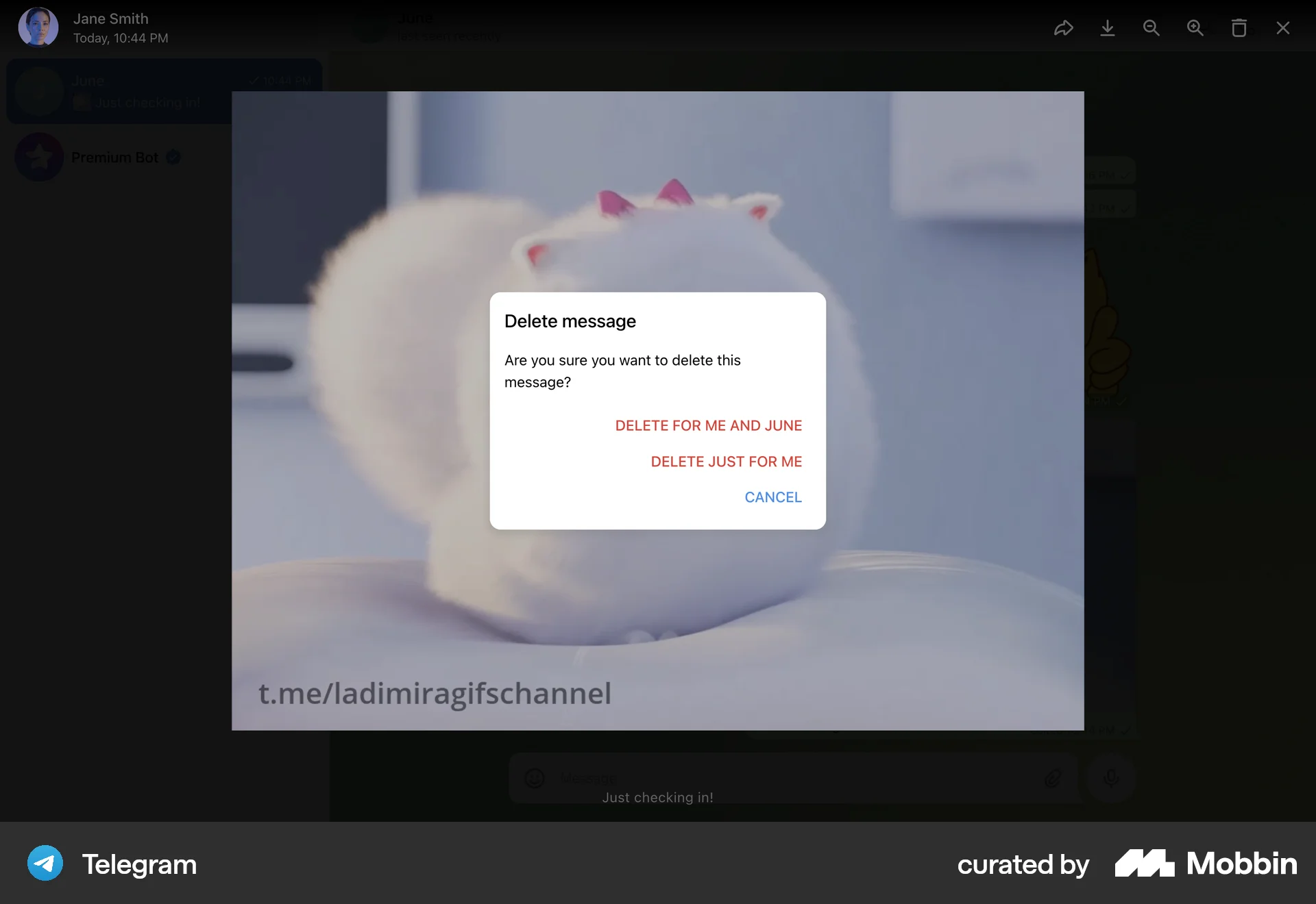 Telegram Web Communication App screen