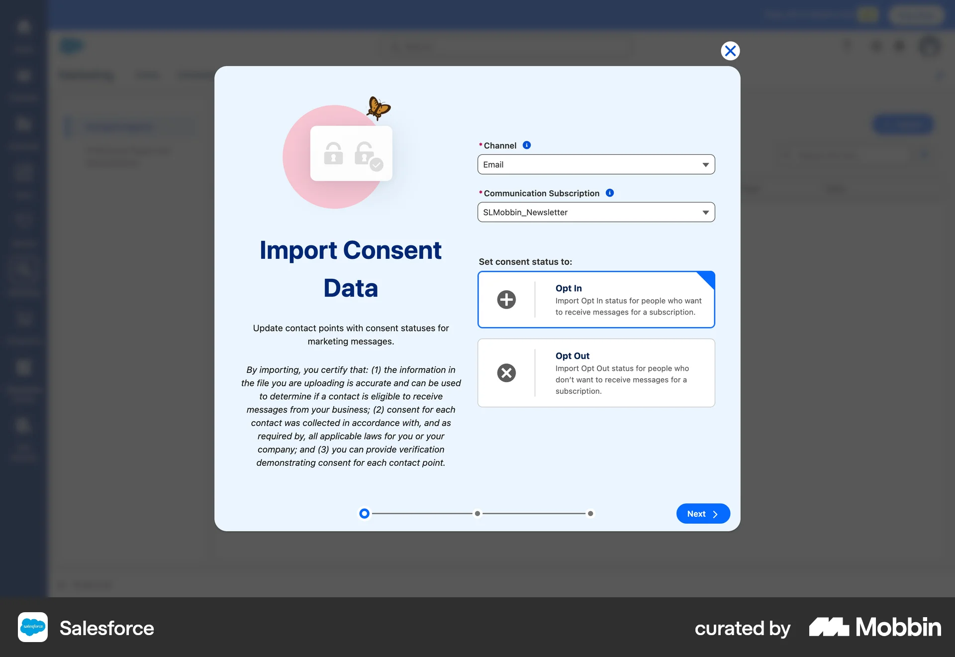 Salesforce Web Wizard UI screen