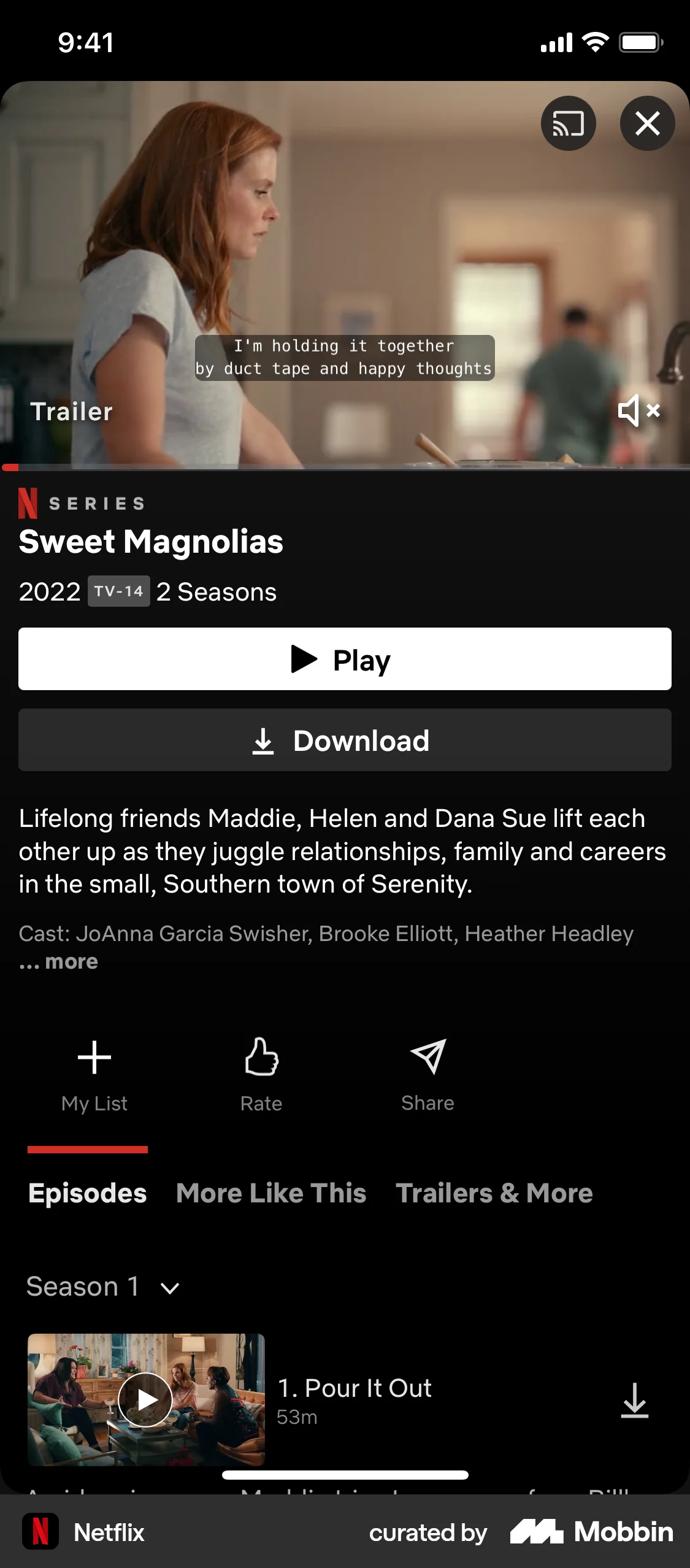 Netflix iOS TV Show & Movie Detail screen