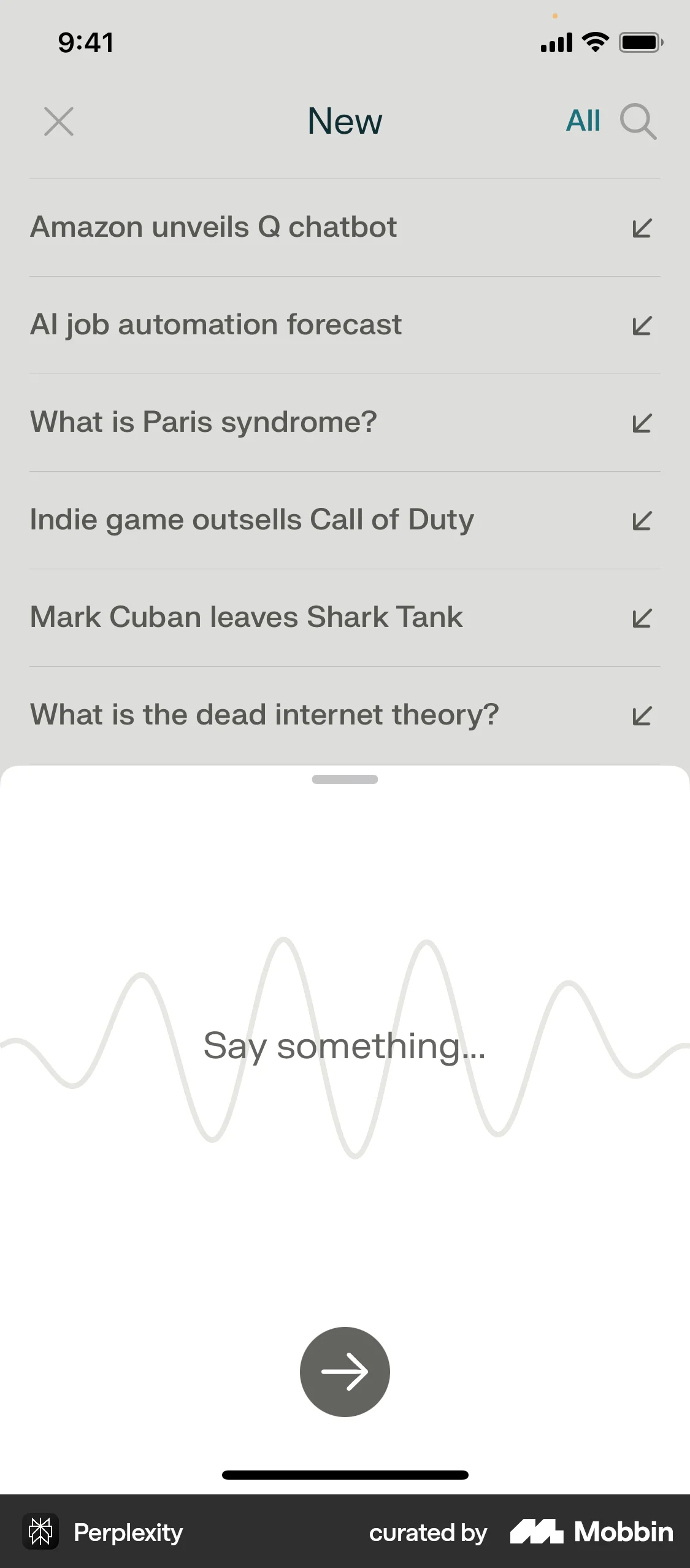 Perplexity iOS Voice UI screen