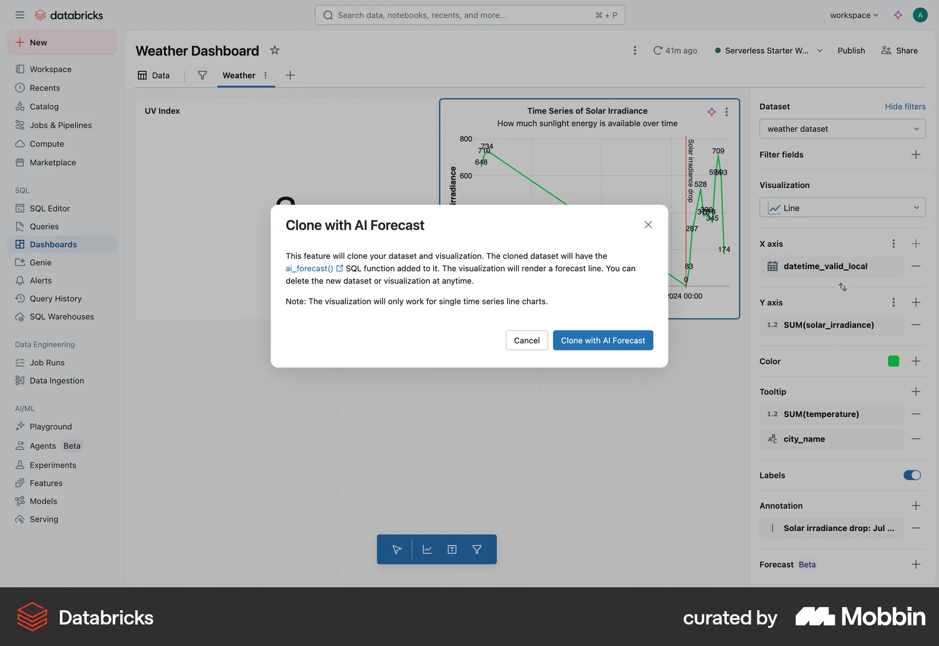 Databricks Web Feature Info screen
