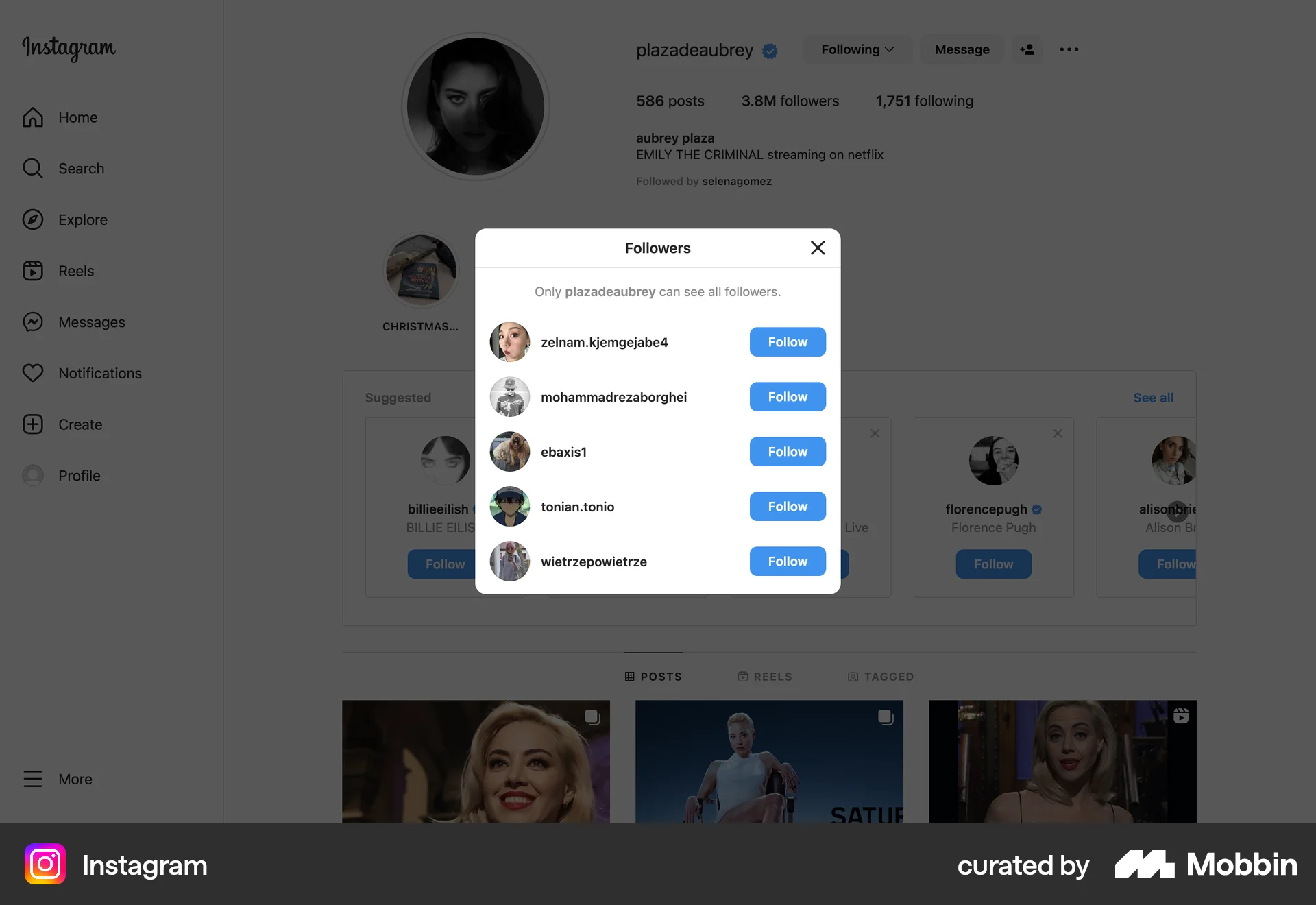 Instagram Web Followers & Following screen