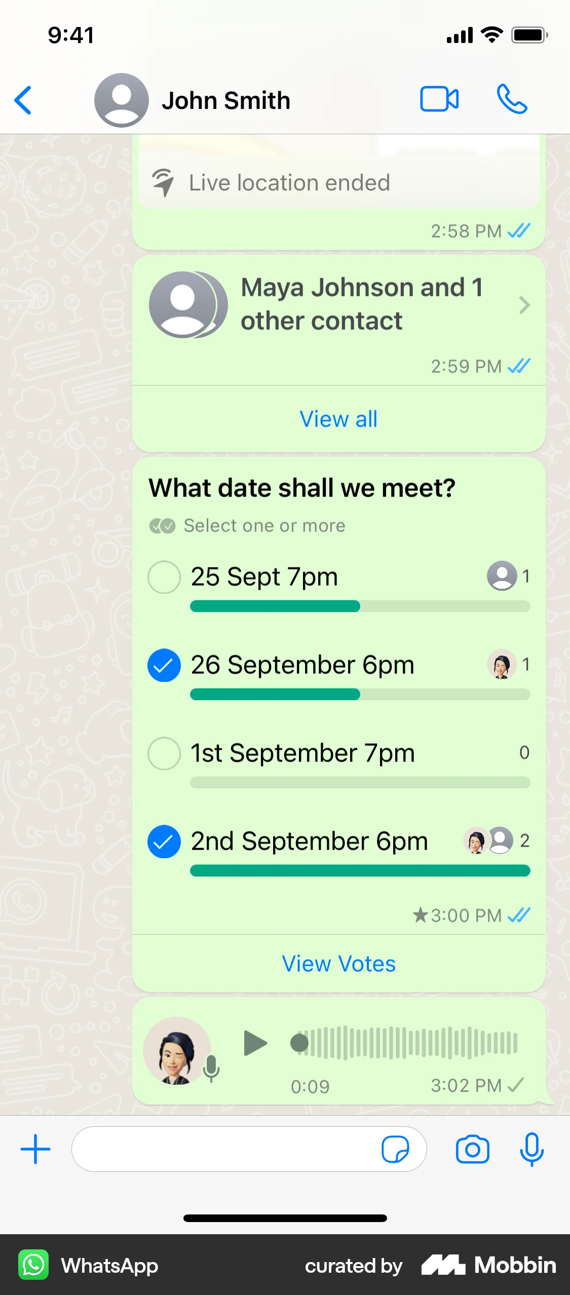 WhatsApp iOS Audio Player screen