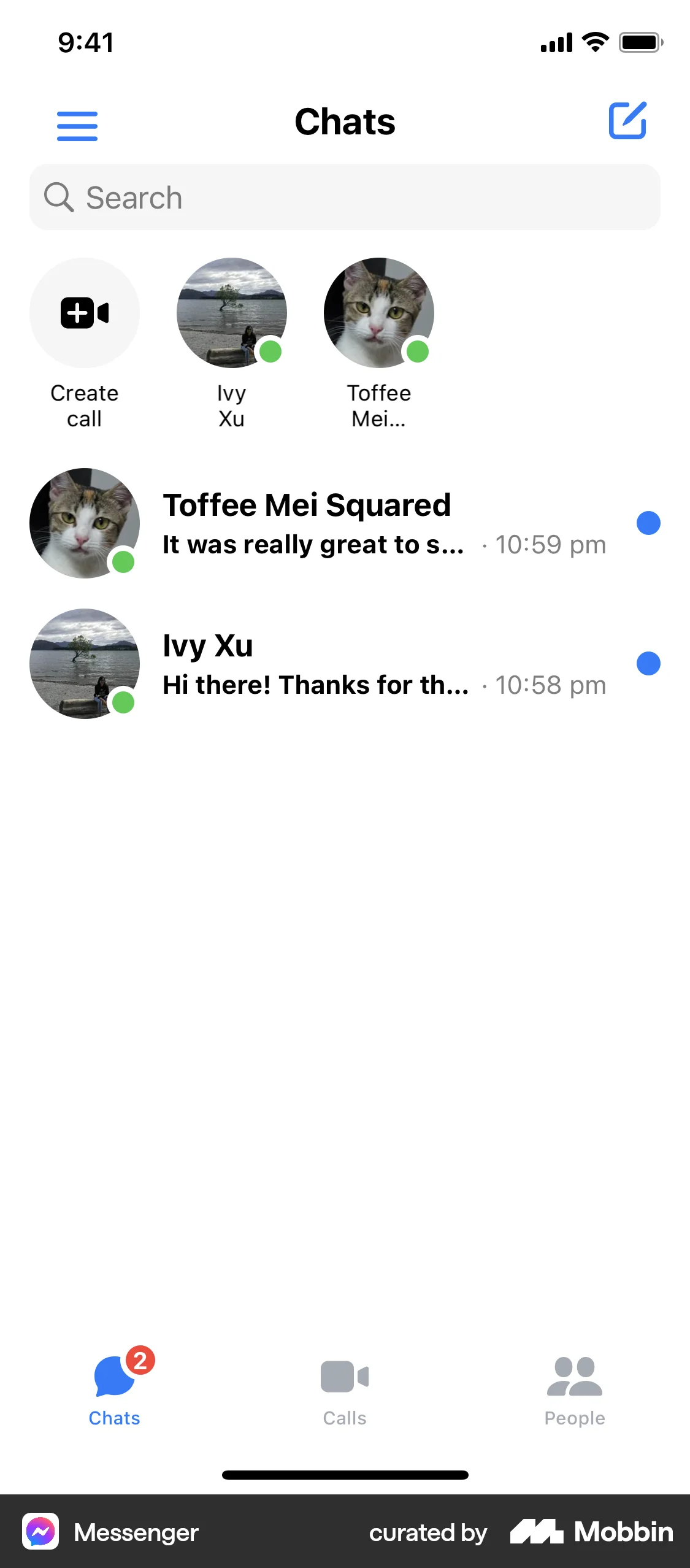 Messenger iOS Communication App screen