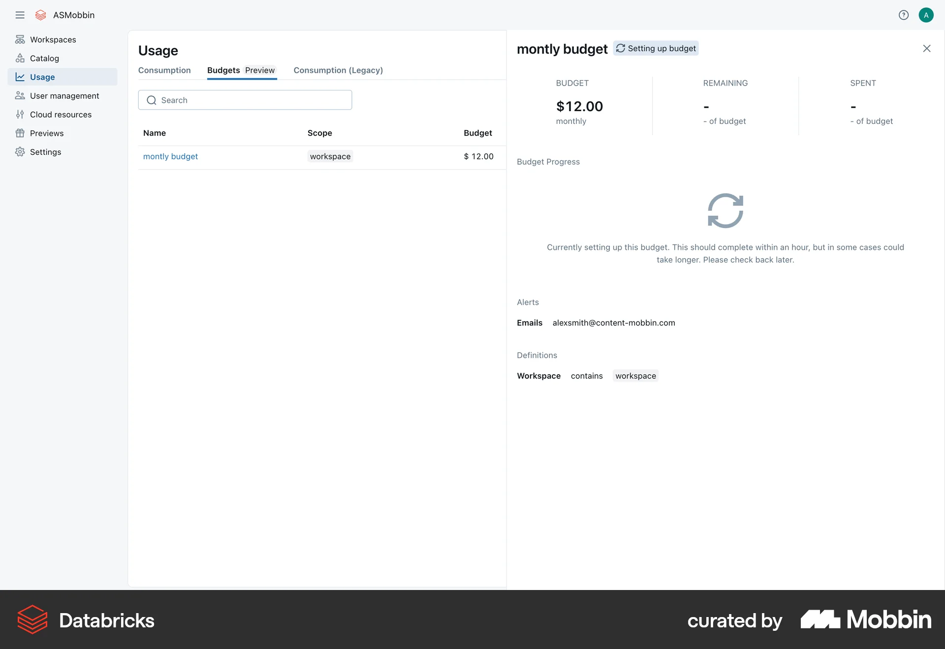 Databricks Web Developer Tools App screen