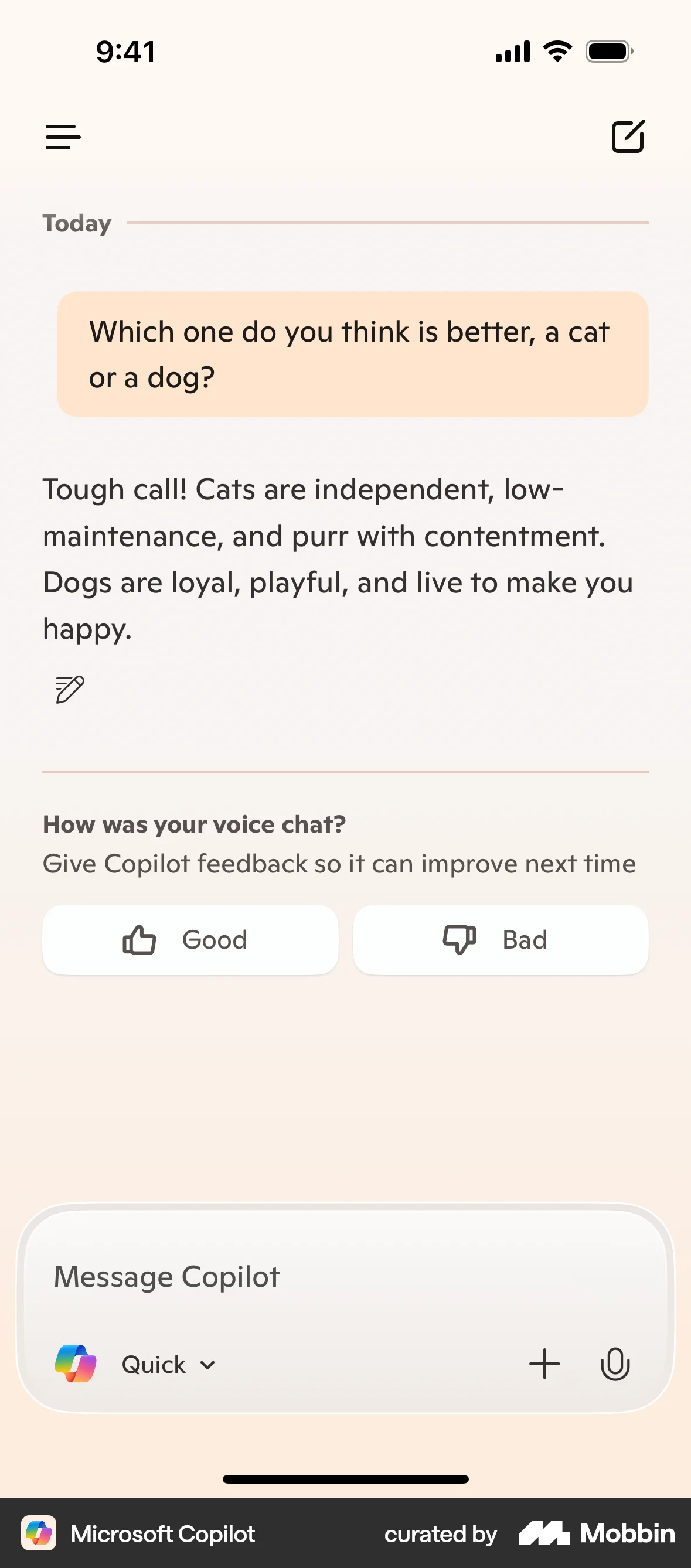 Microsoft Copilot iOS Chat Detail screen