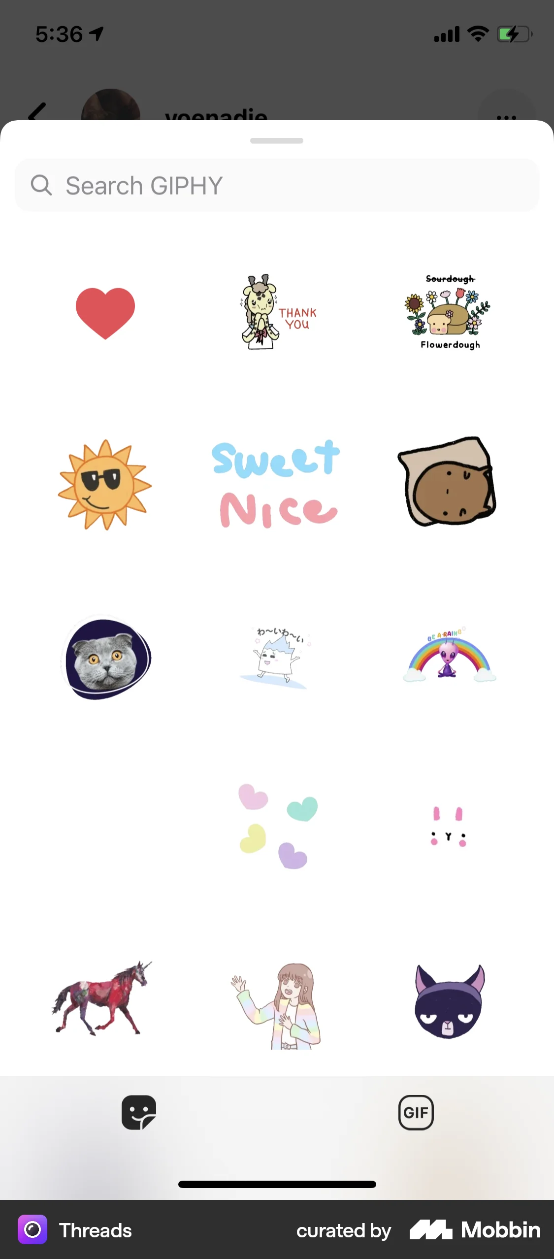 Threads iOS Filters & Stickers screen