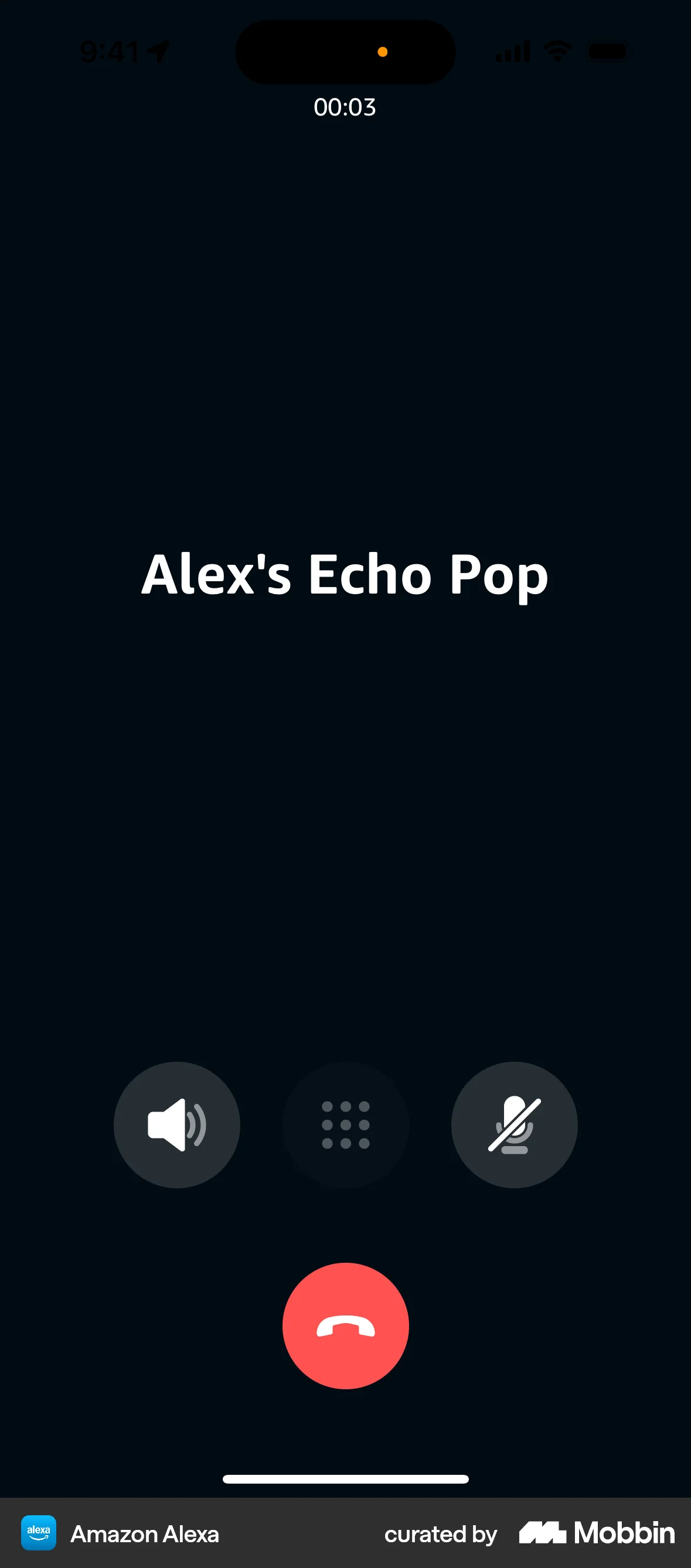 Amazon Alexa iOS Call screen