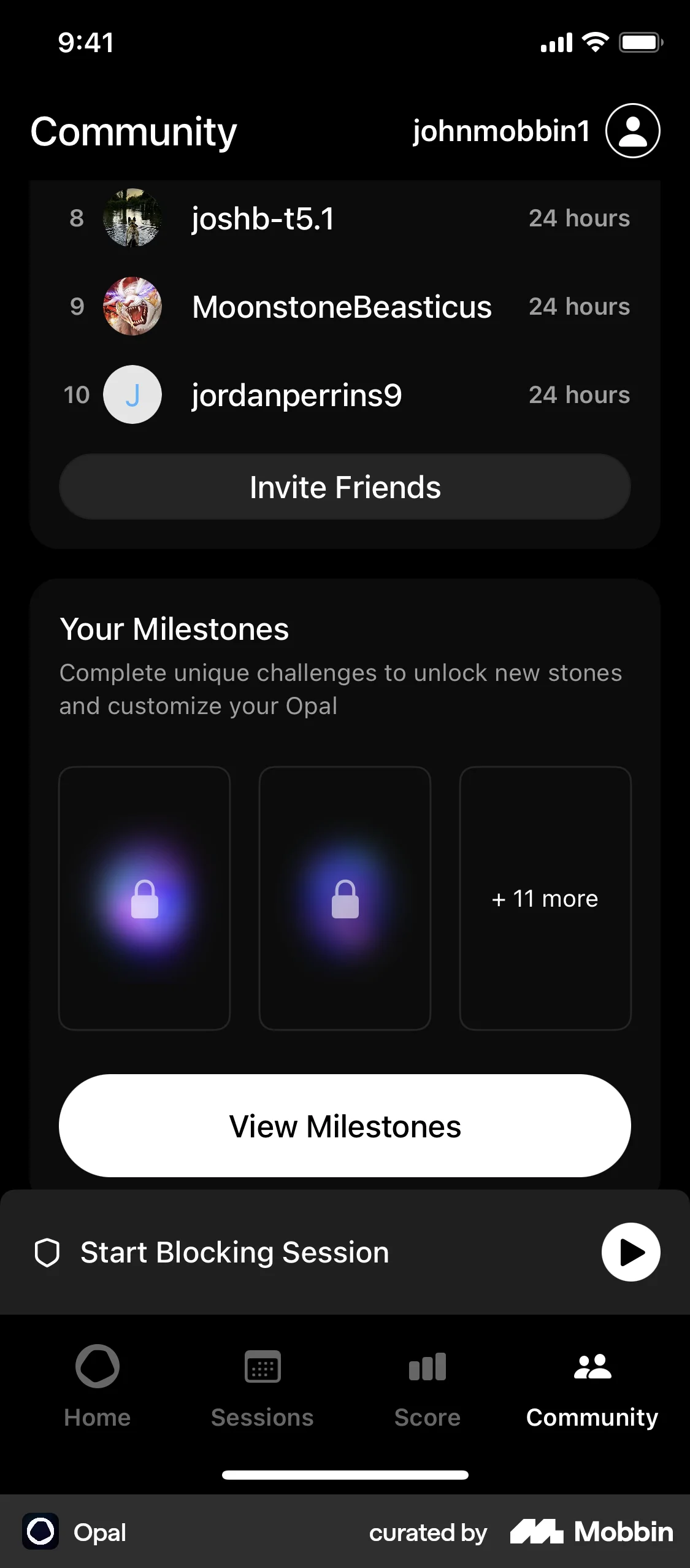 Opal iOS Leaderboard screen