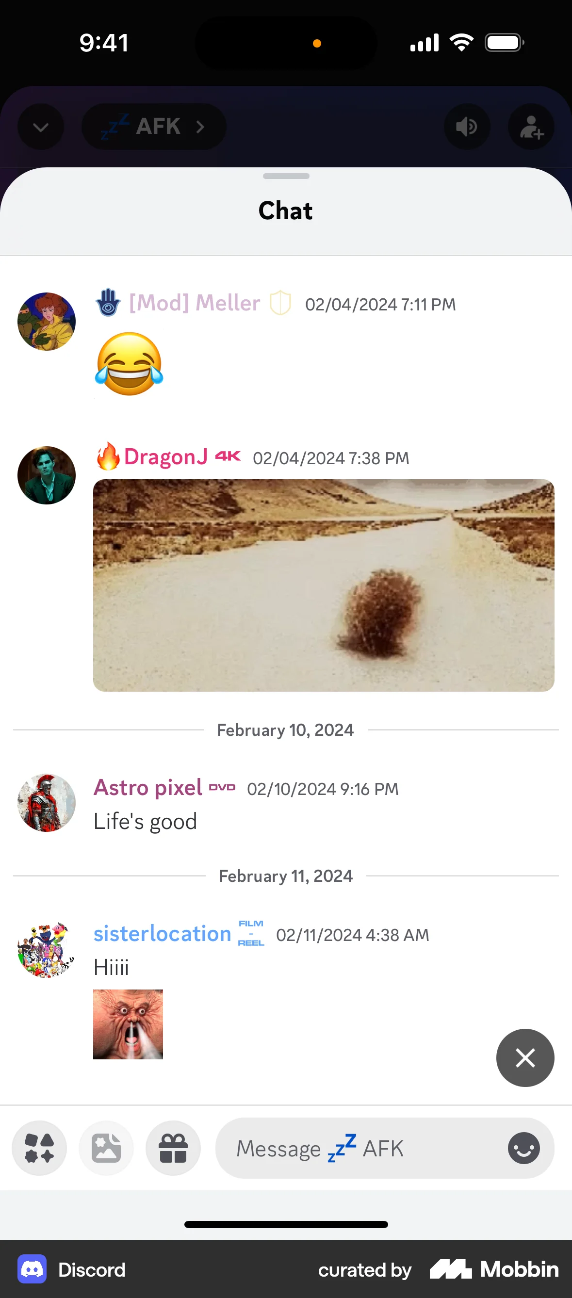 Discord iOS Chat Detail screen