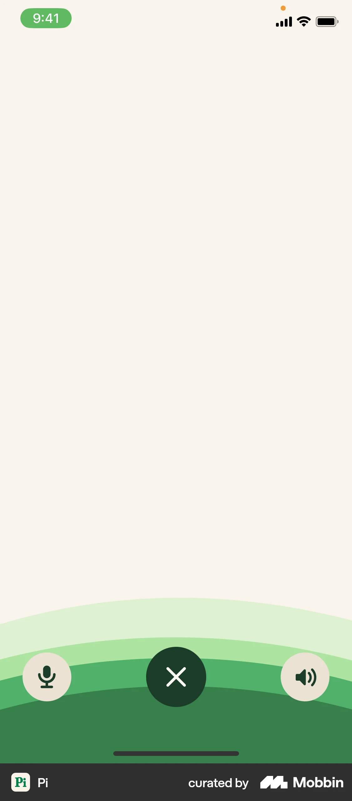 Pi iOS Audio & Video Recorder screen