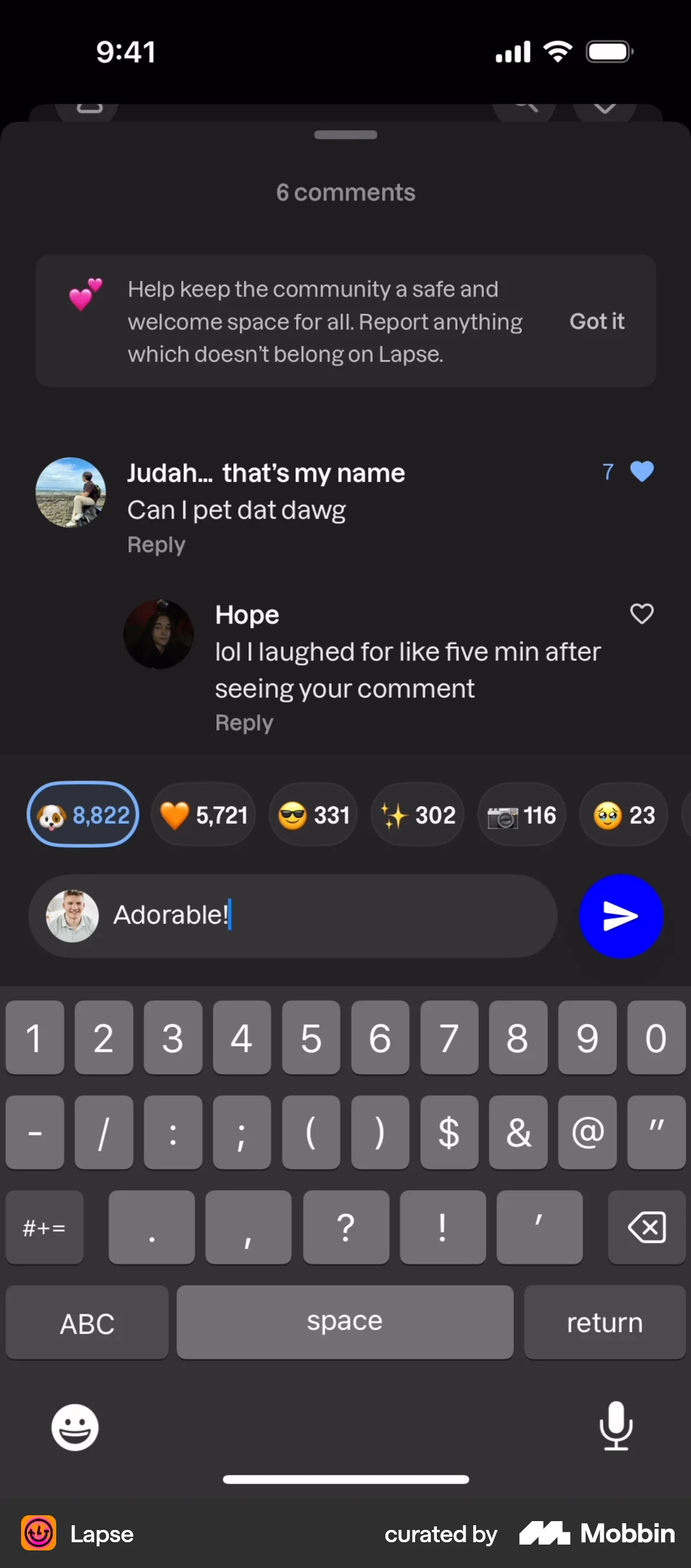 Lapse iOS Comments screen