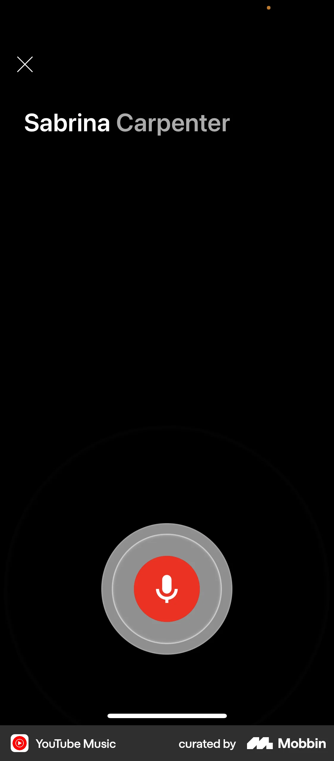 YouTube Music iOS Audio & Video Recorder screen