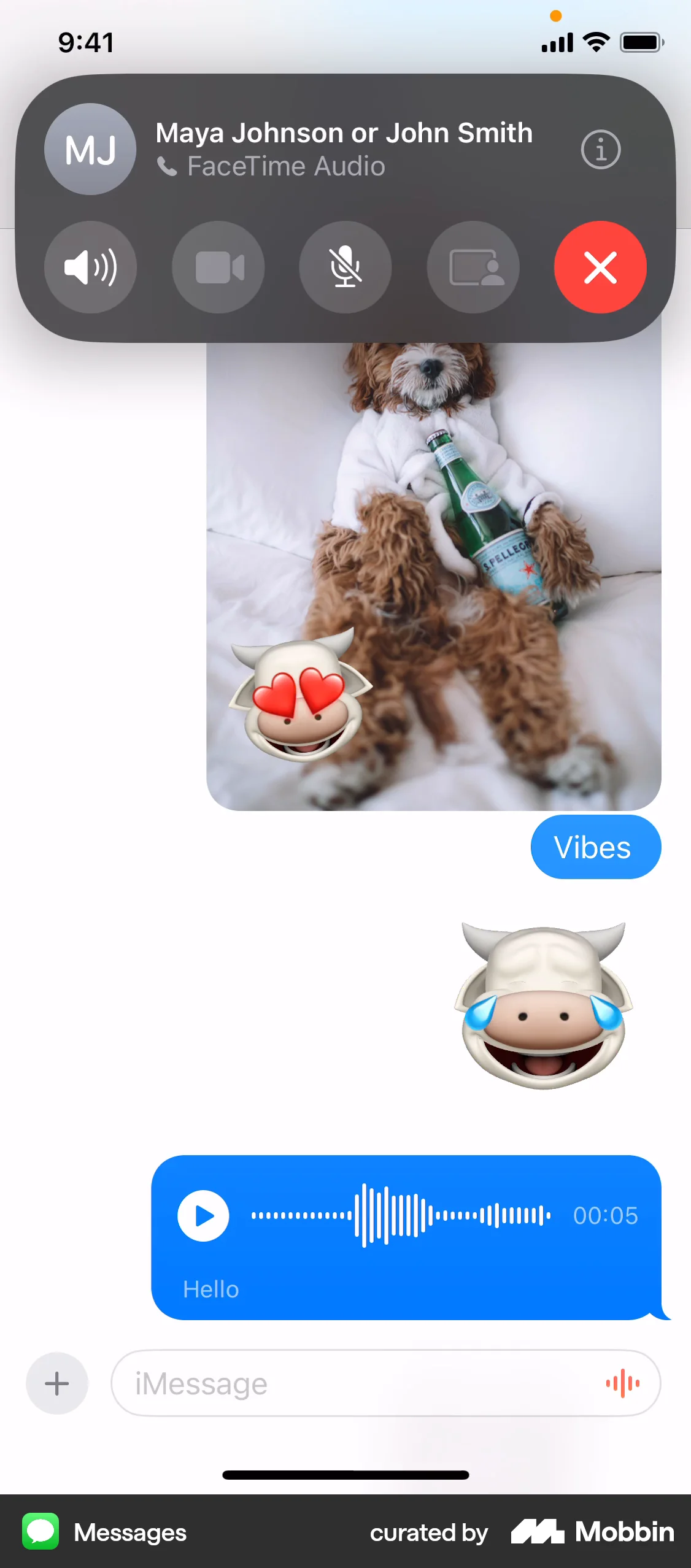Messages iOS Call screen