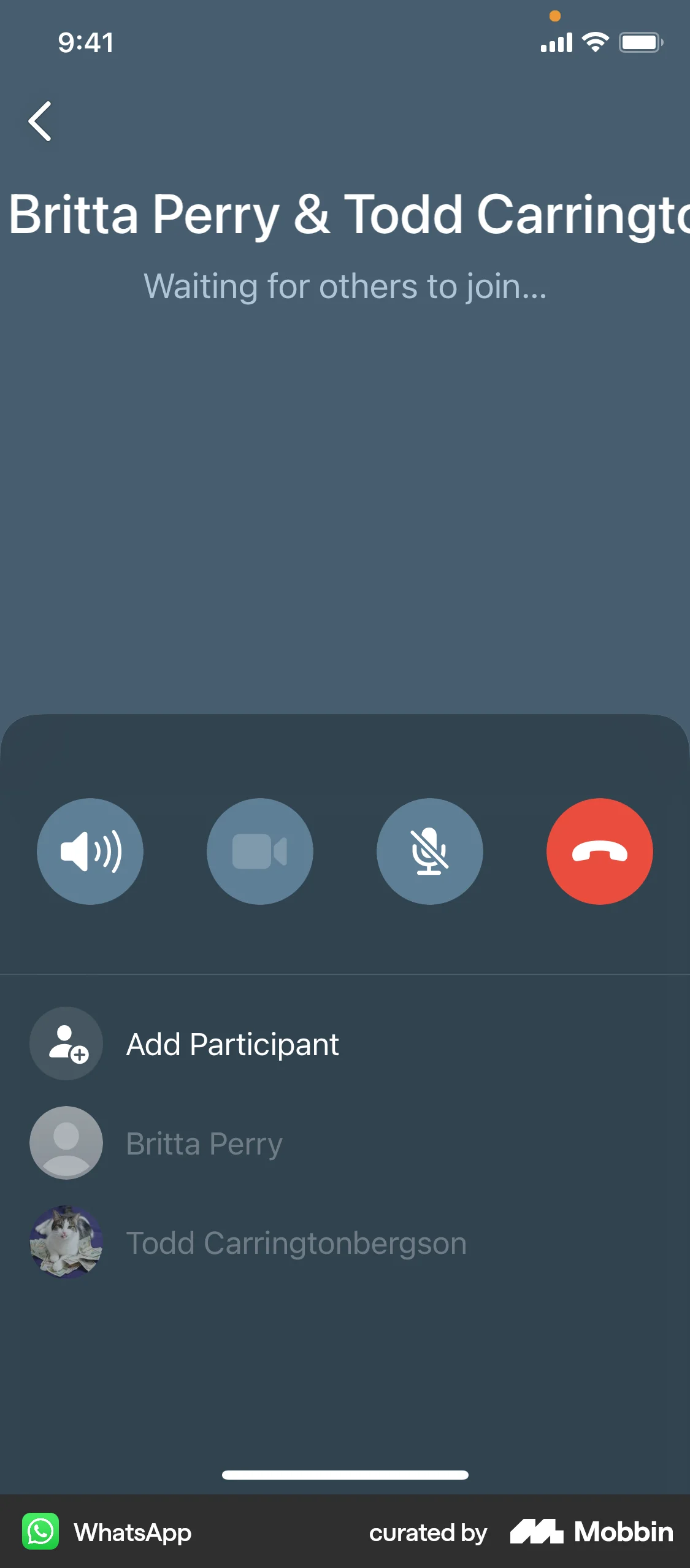 WhatsApp iOS Call screen