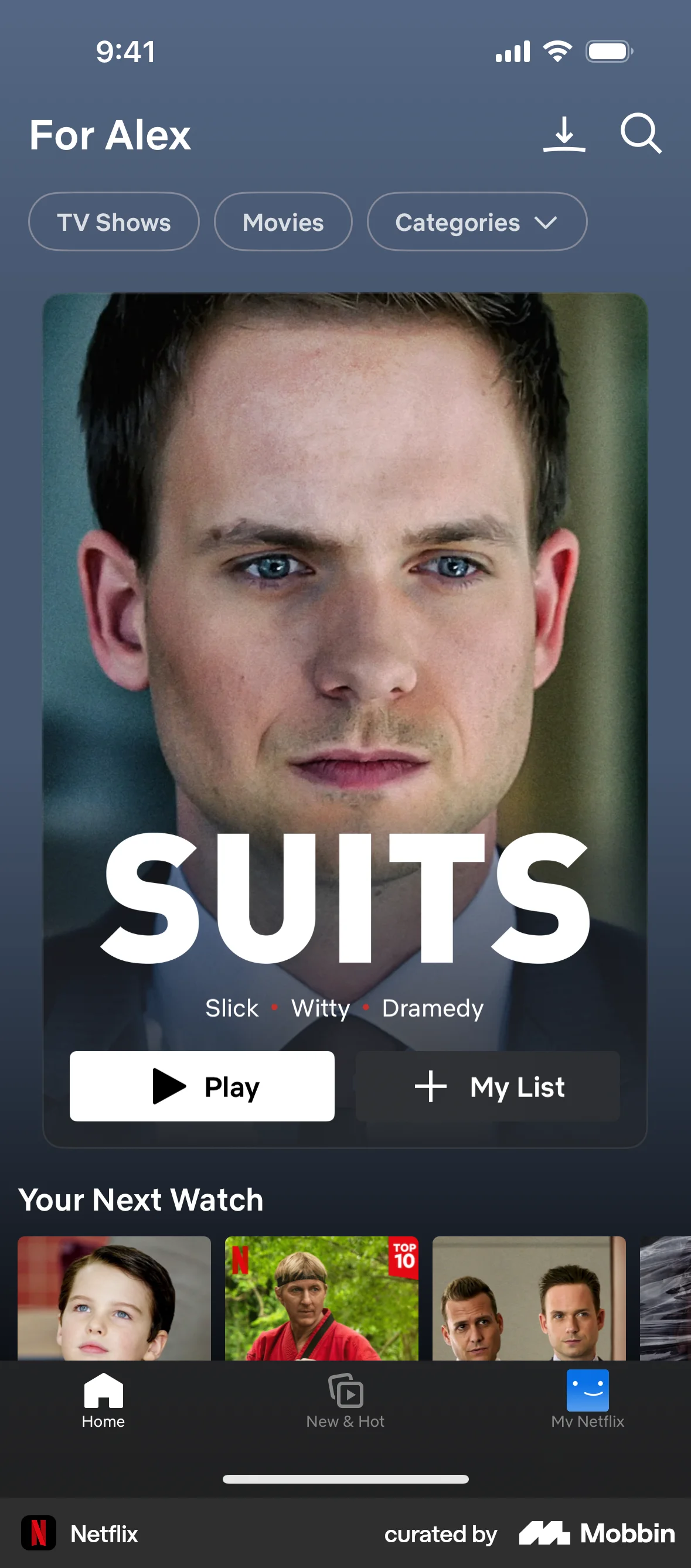 Netflix iOS Home screen