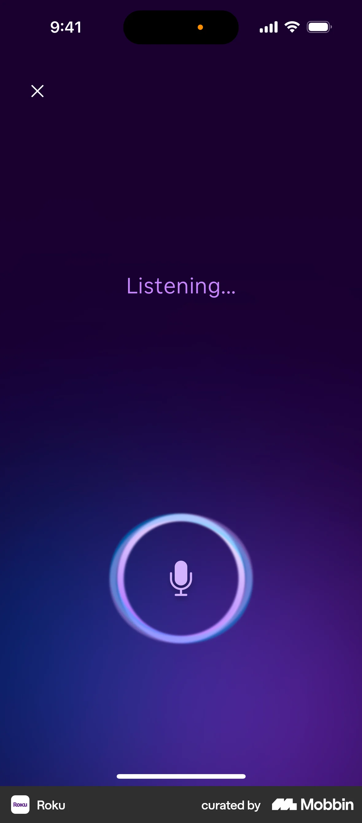 Roku iOS Audio & Video Recorder screen