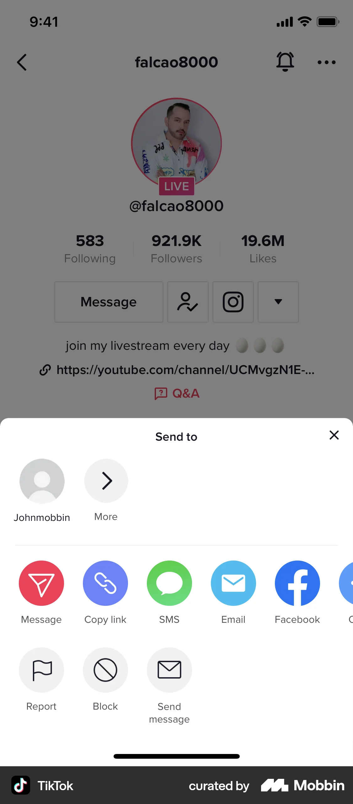 TikTok iOS Share screen